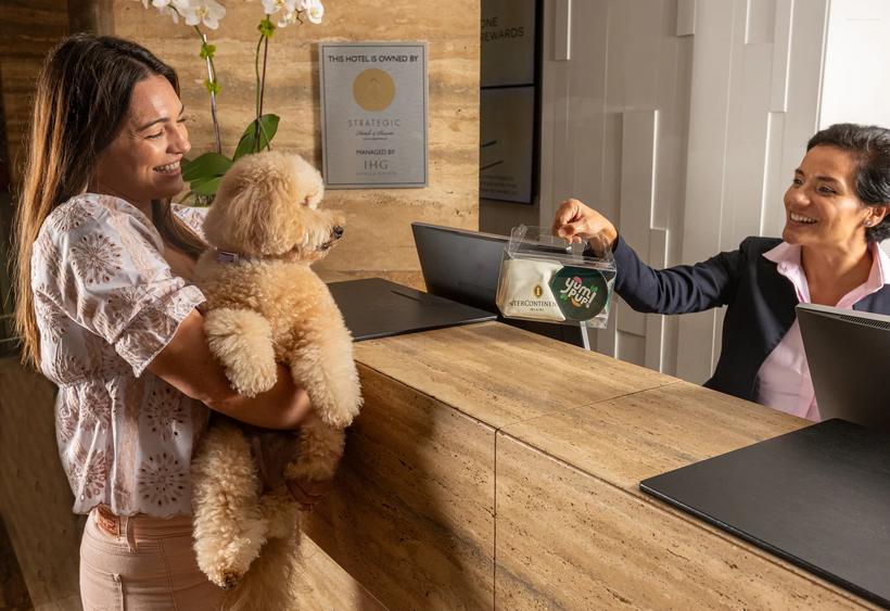 A dog welcomed at InterContinental Miami