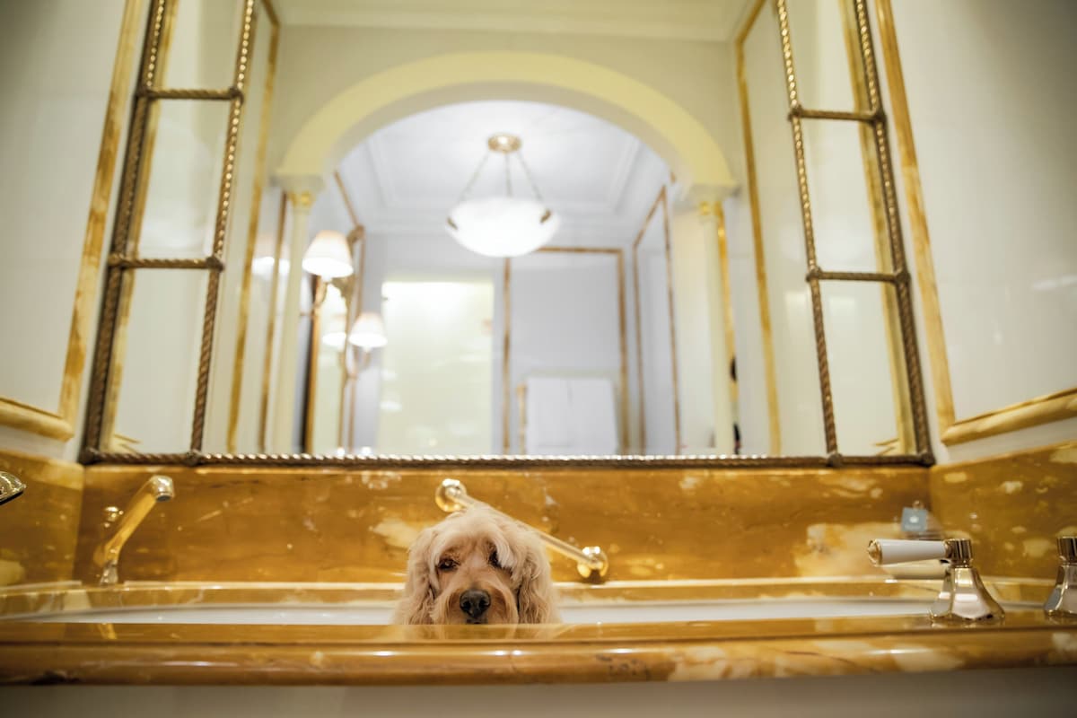 The grand entrance at The Lanesborough, London