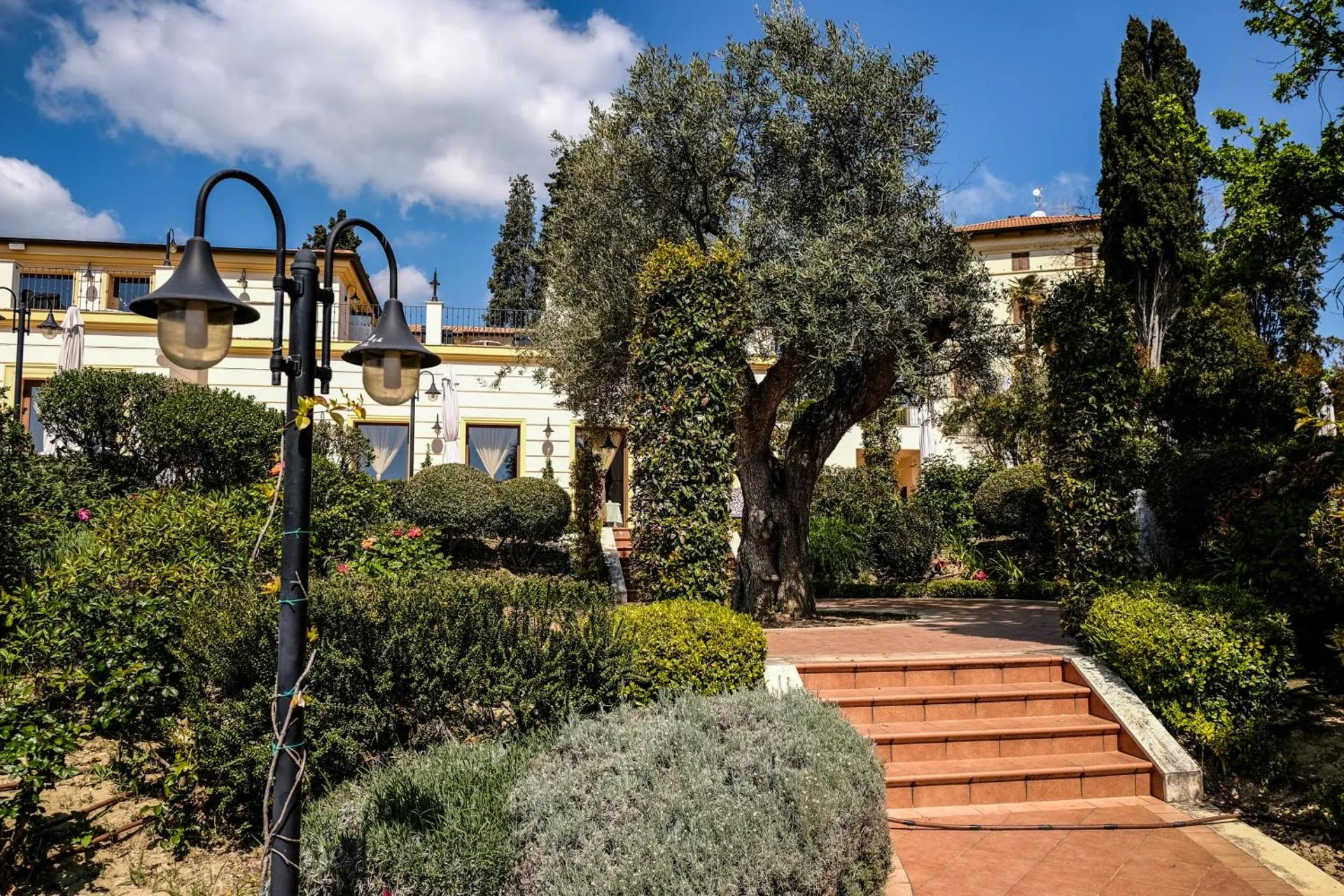 L'Antico Uliveto