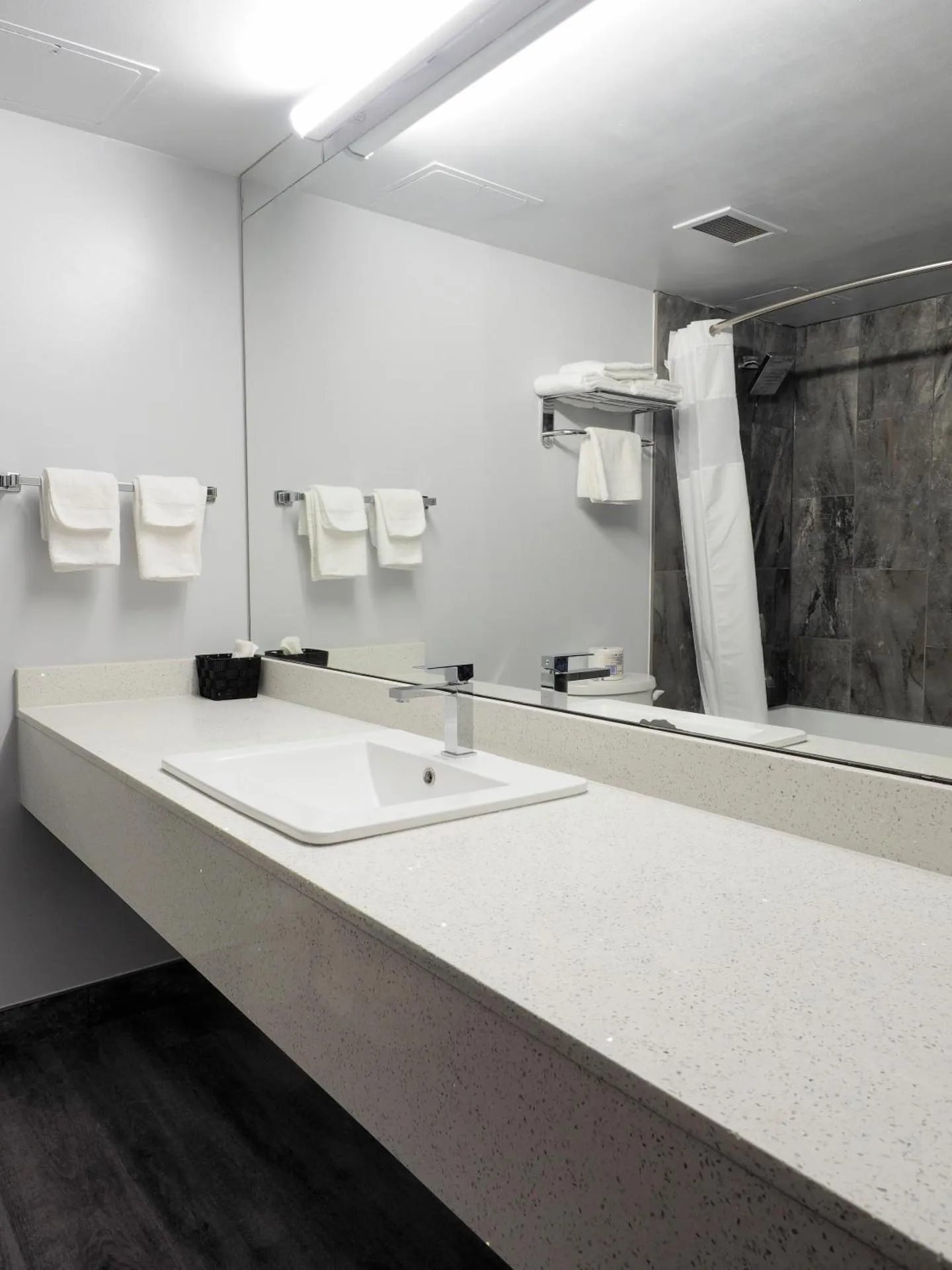 Dog Friendly Hotel $Edmonton - $Argyll Plaza Hotel
