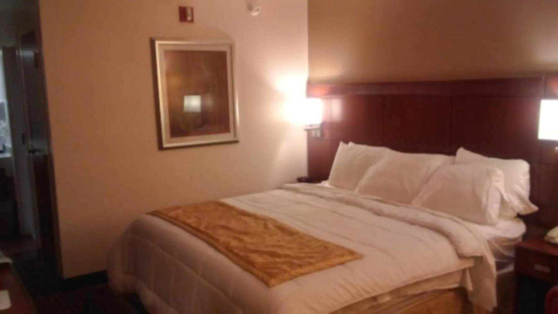 Dog Friendly Inn $West Jefferson - $Nations Inn - West Jefferson