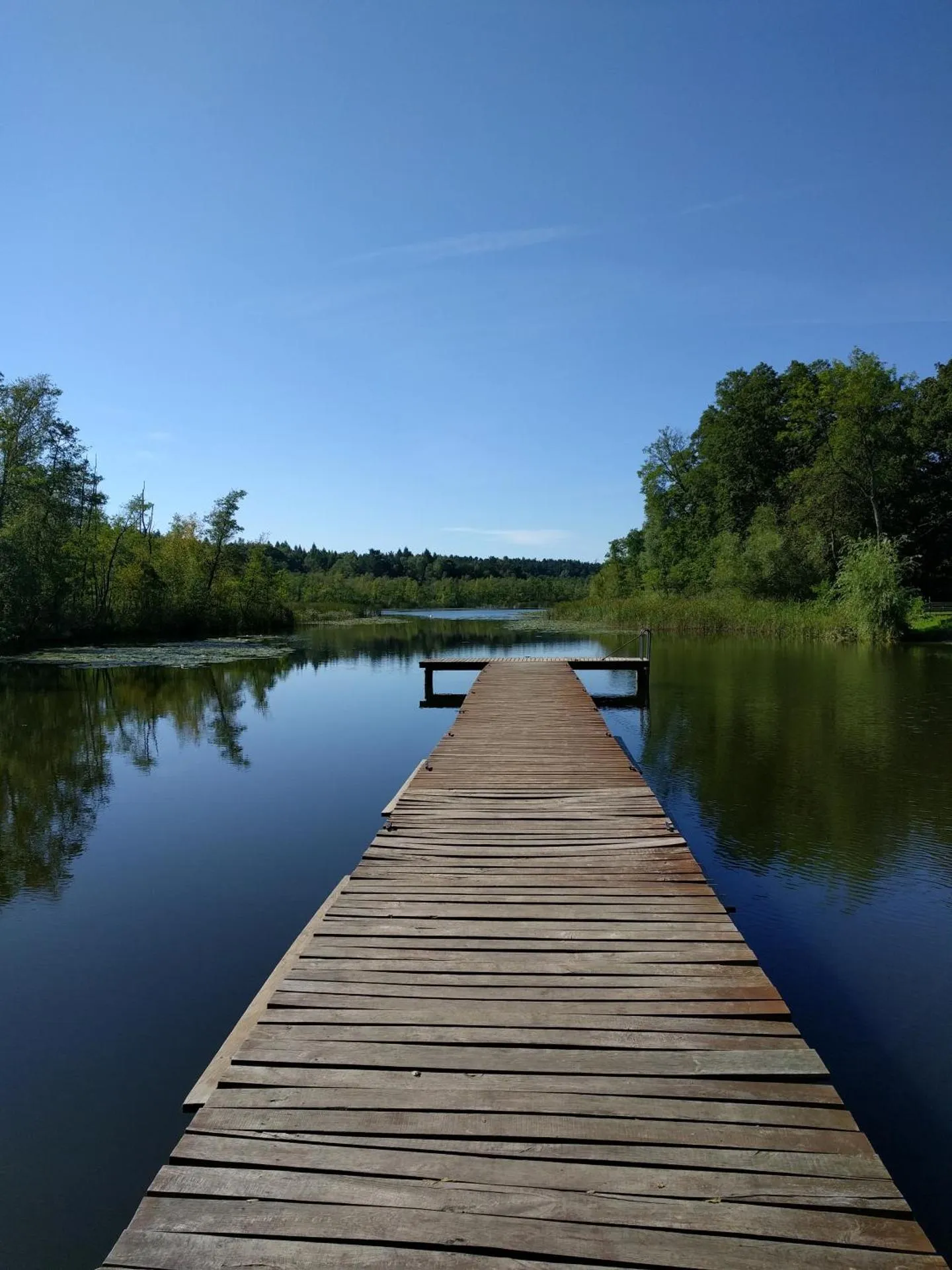 Dog Friendly Resort $Mirow - $Hotel & Ferienpark Fleether Mühle