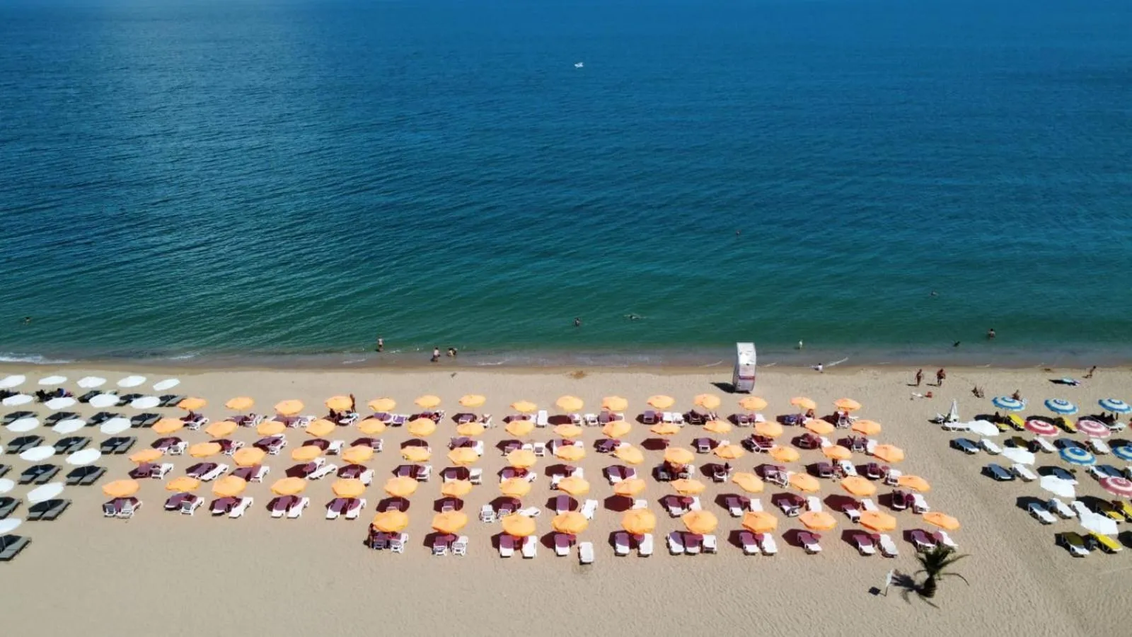 Palm Beach Hotel - All Inclusive & Private Beach