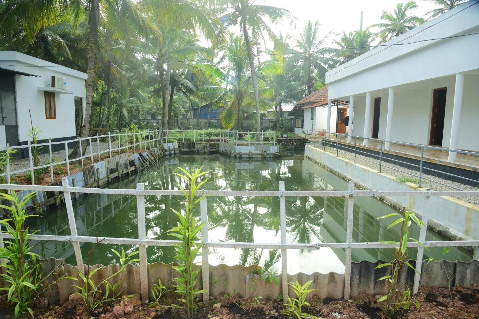 Grand Plaza Tourist Home