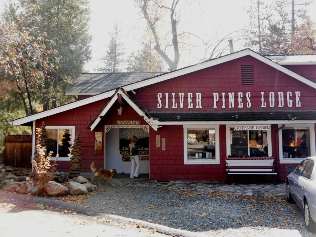 Dog Friendly Inn $Idyllwild - $Silver Pines Lodge