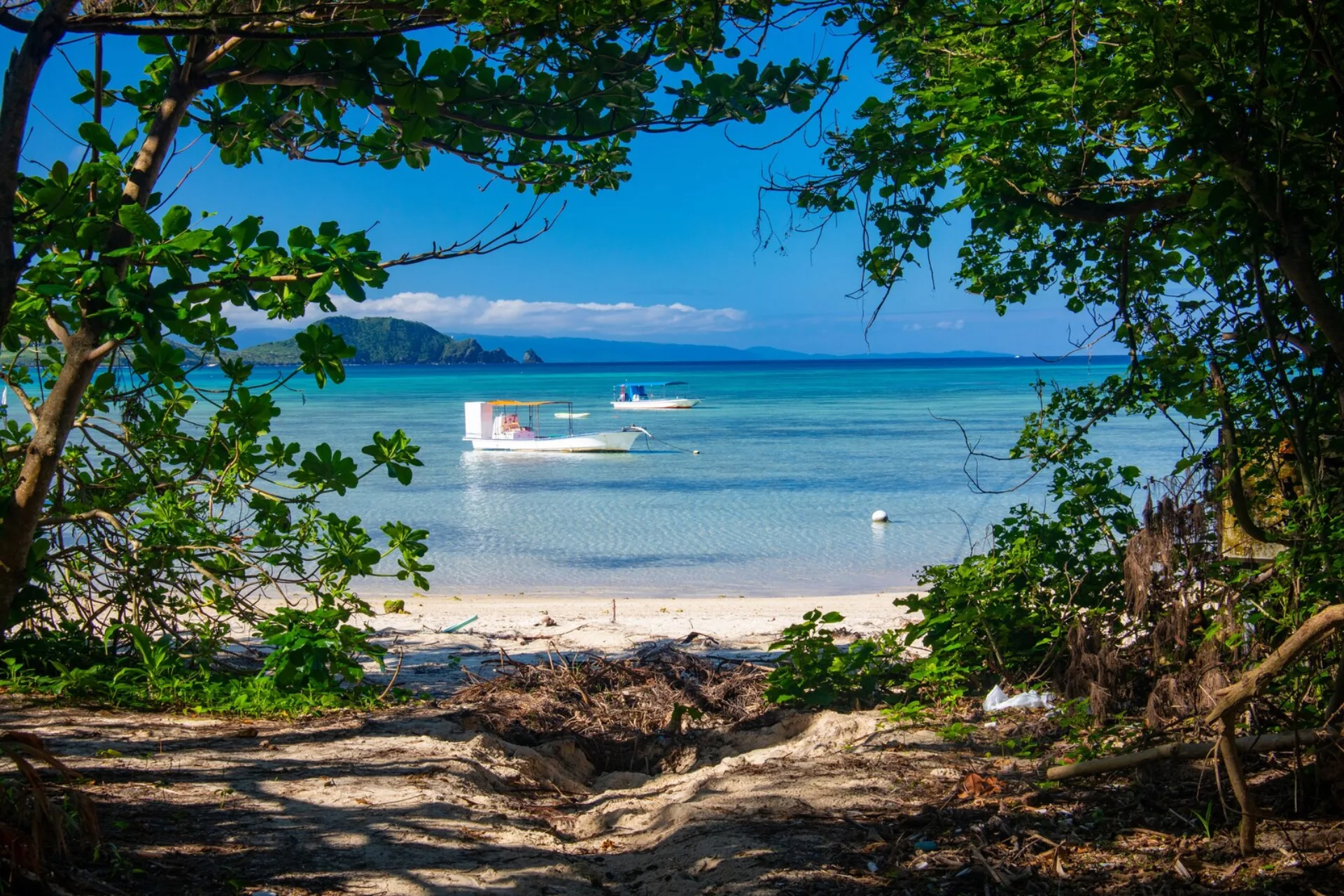 Ishigaki Seaside Hotel, a dog friendly hotel in Ishigaki