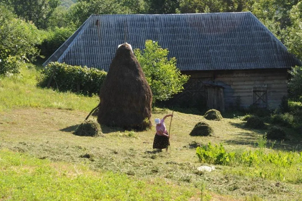 Village Hotel Maramures