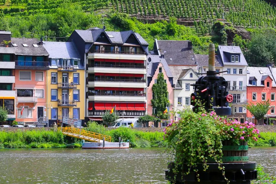 Dog Friendly Hotel $Zell an der Mosel - $Mayer's Weinhotel
