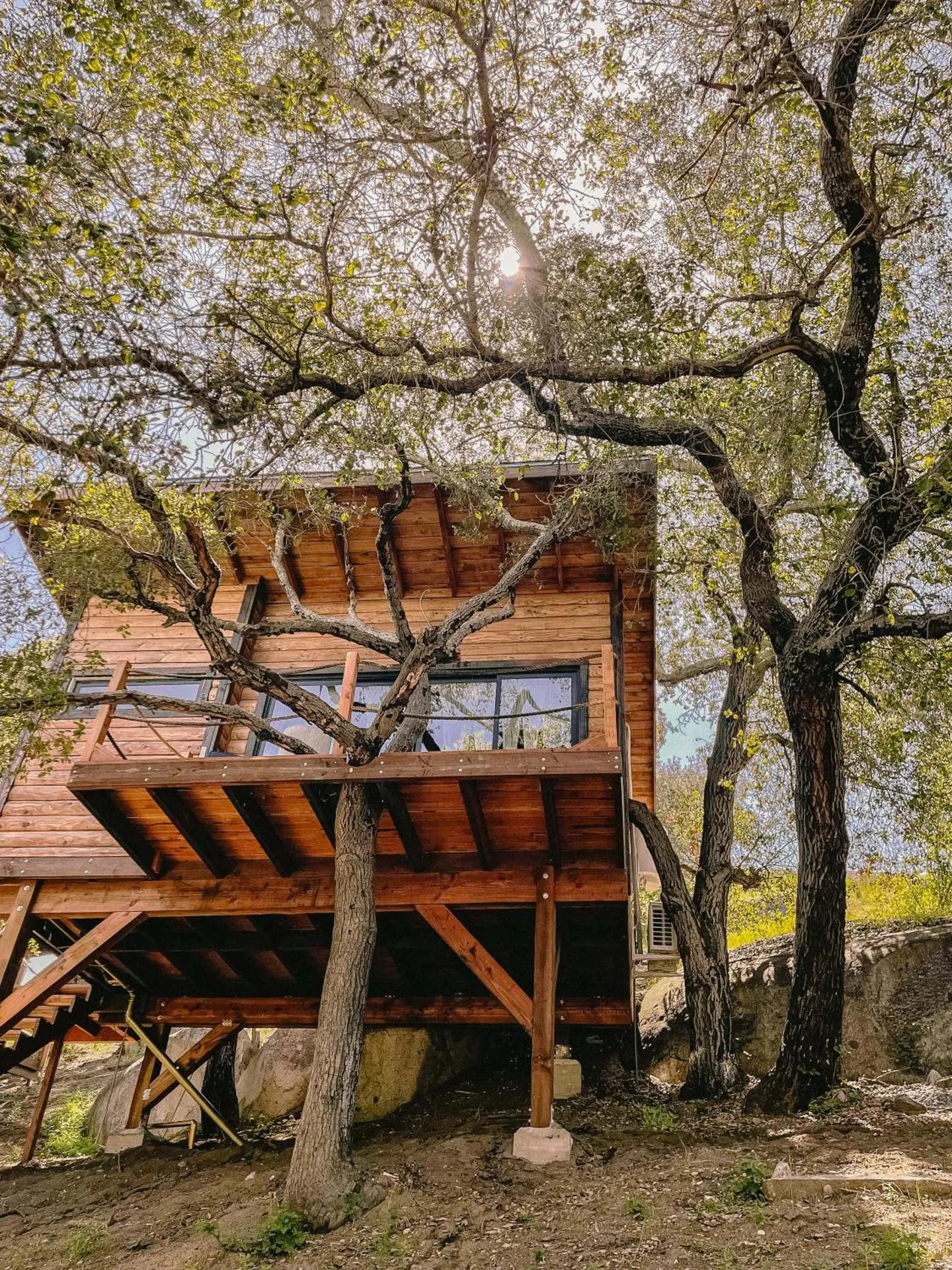 BoskenVid Hotel Boutique