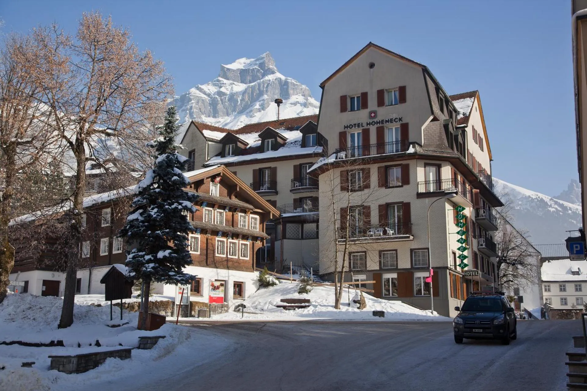 Dog Friendly Hotel $Engelberg - $Hotel Hoheneck