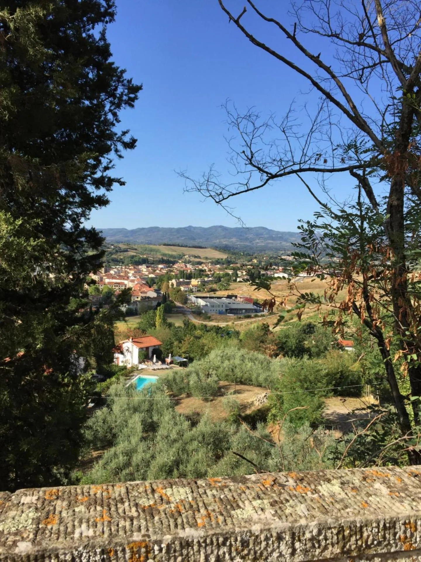Dog Friendly Bed and breakfast $Terranuova Bracciolini - $Serendipity House B&B