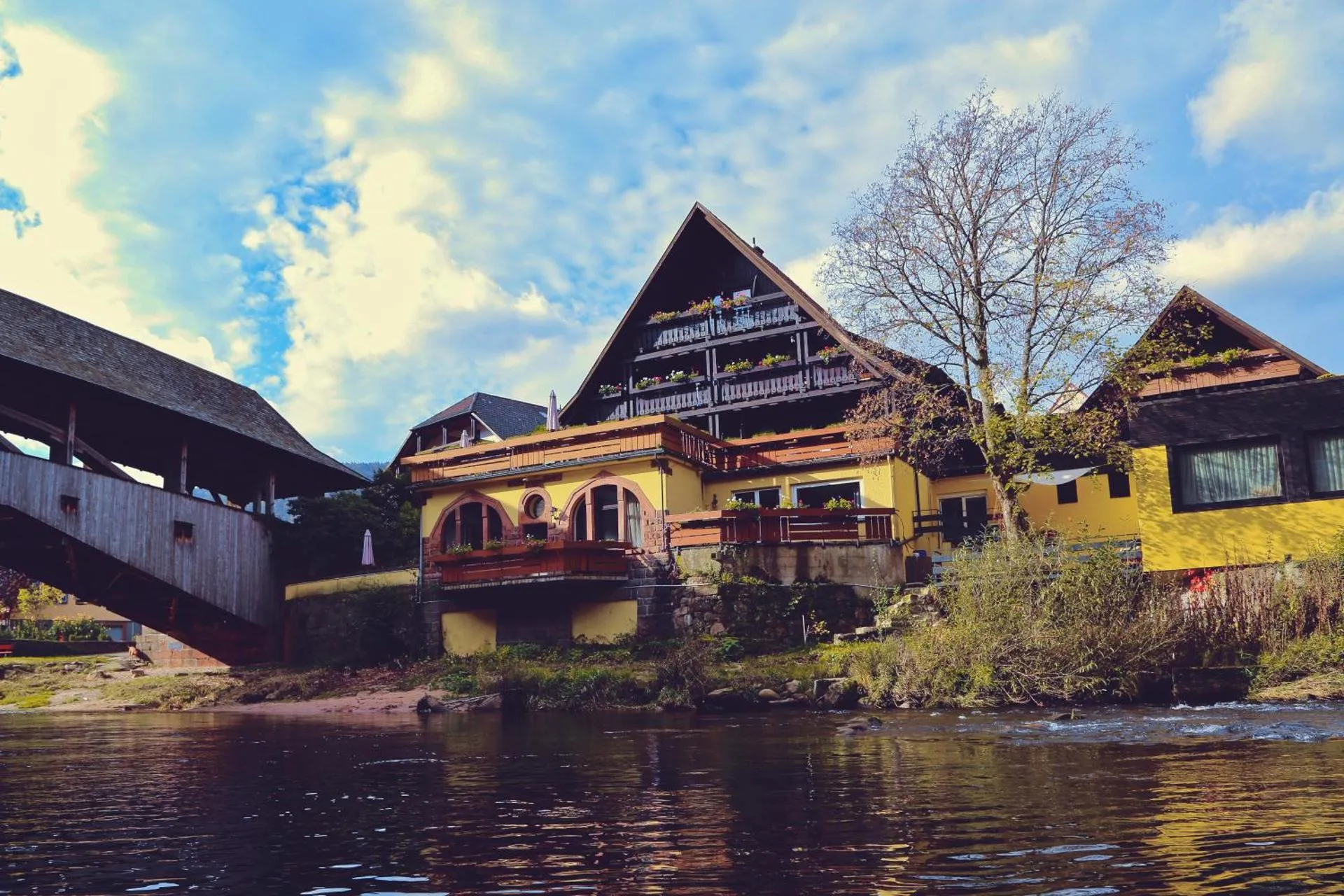 Dog Friendly Hotel $Forbach - $Das Waldhaus