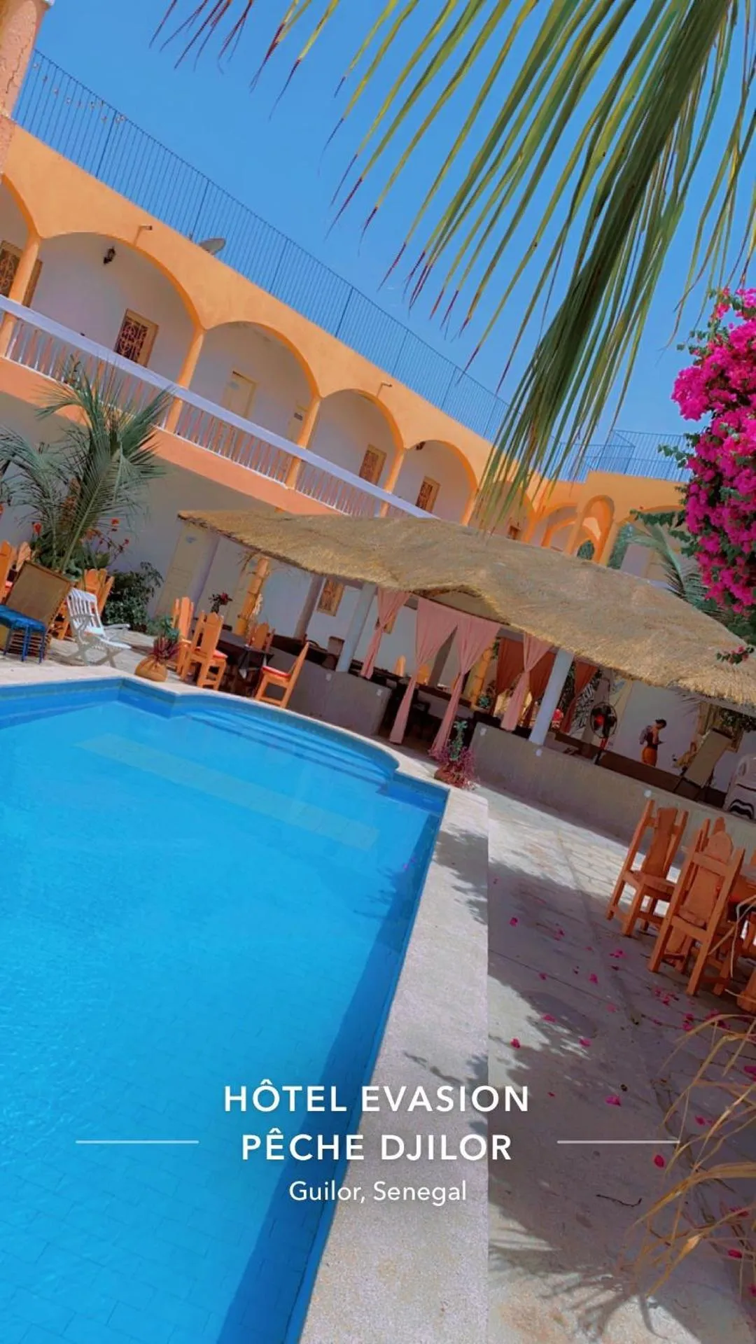 Dog Friendly Bed and breakfast $Fatick - $Hôtel évasion pêche djilor île sine saloum