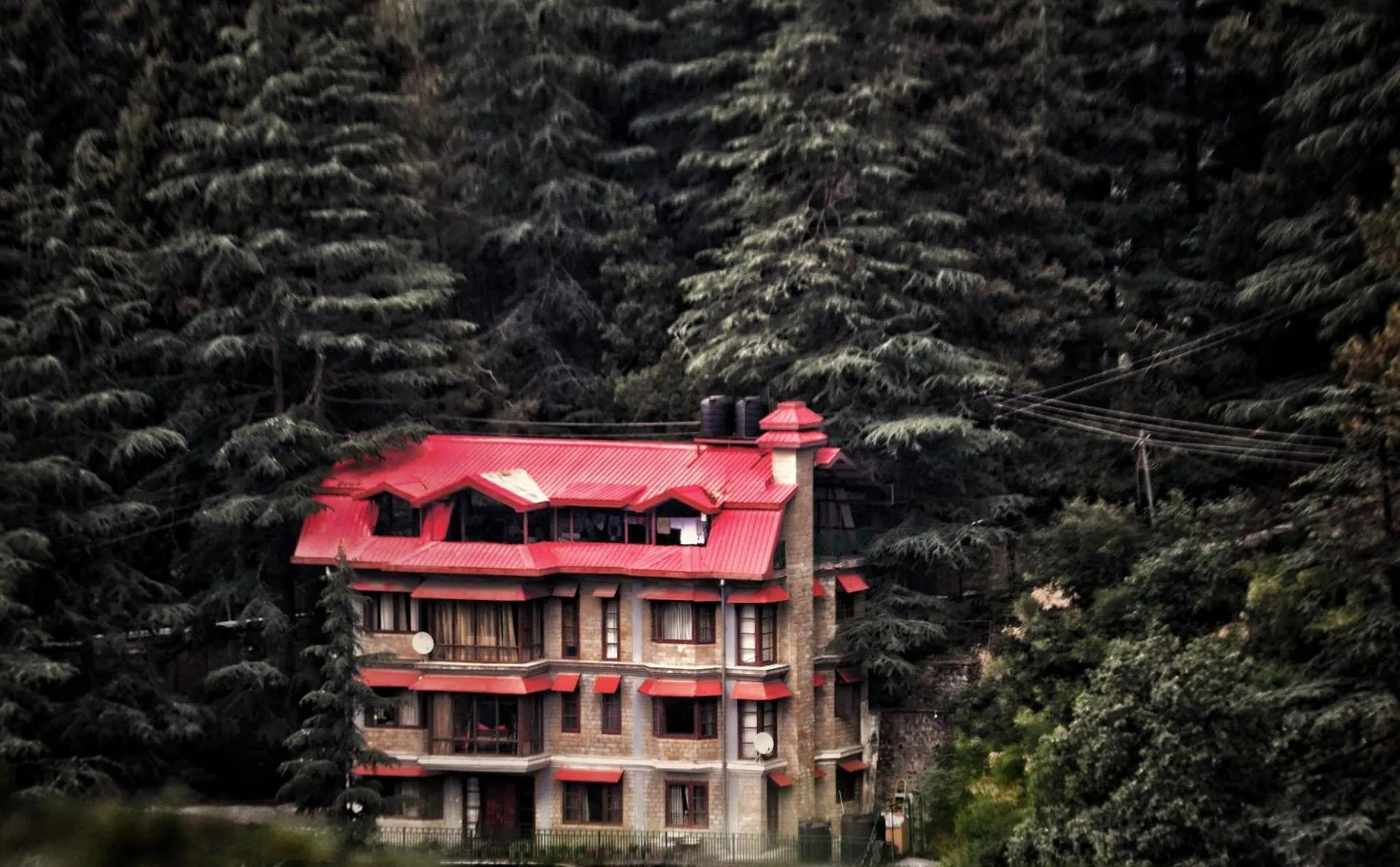 Cedar Dale B&B