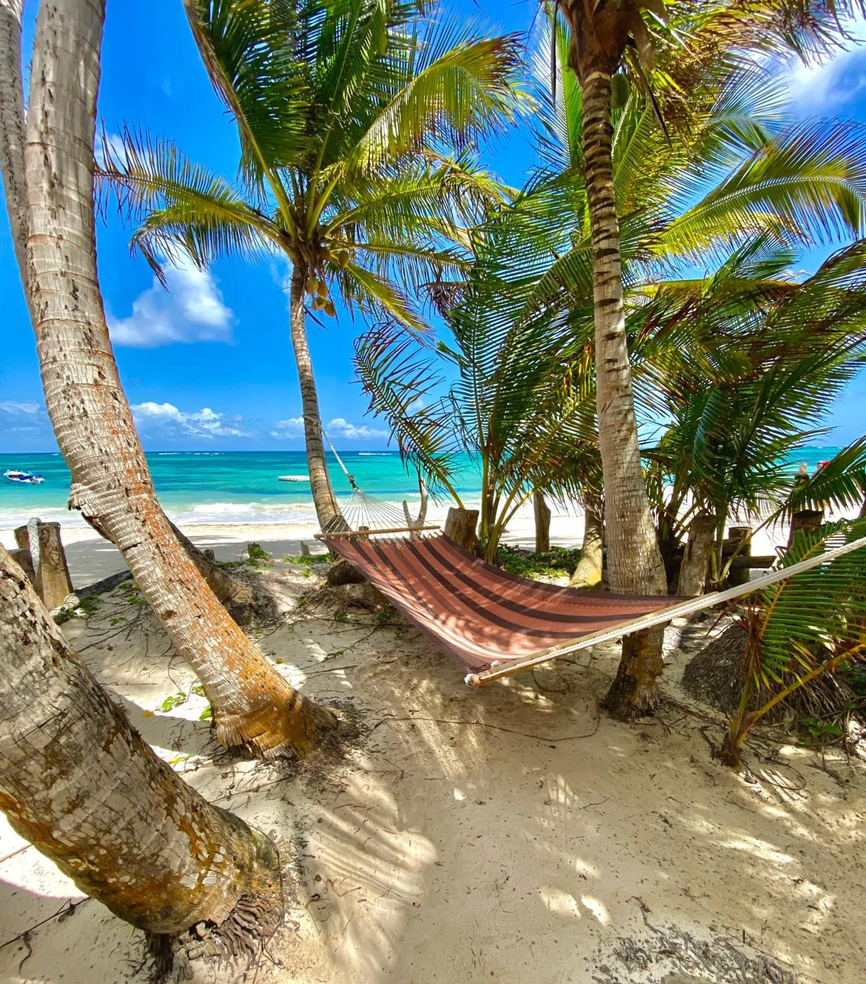 Dog Friendly Hotel $Little Corn Island - $Little Corn Island Beach and Bungalow