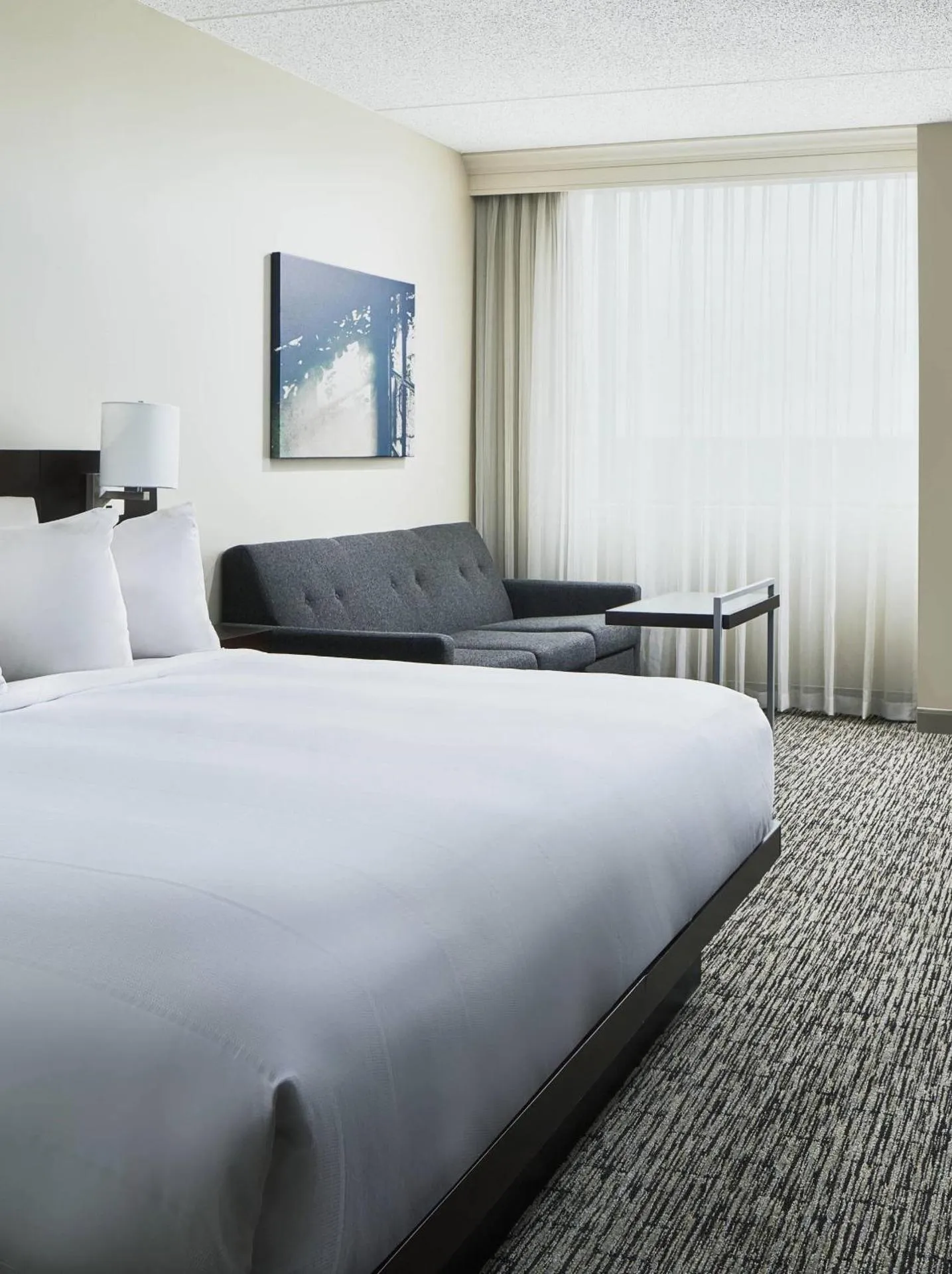 Dog Friendly Hotel $Round Rock - $Austin Marriott North