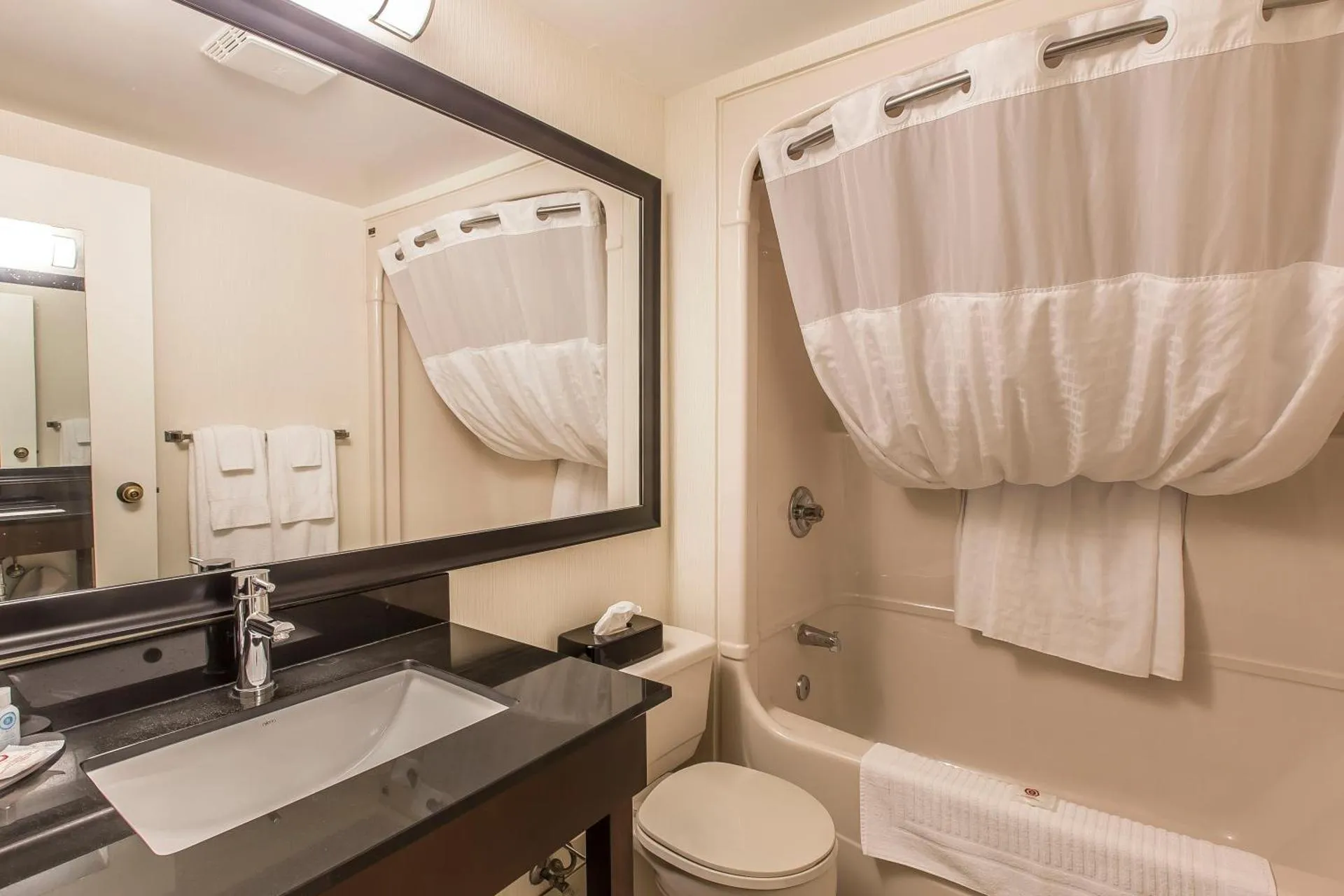Dog Friendly Hotel $New Glasgow - $Comfort Inn New Glasgow