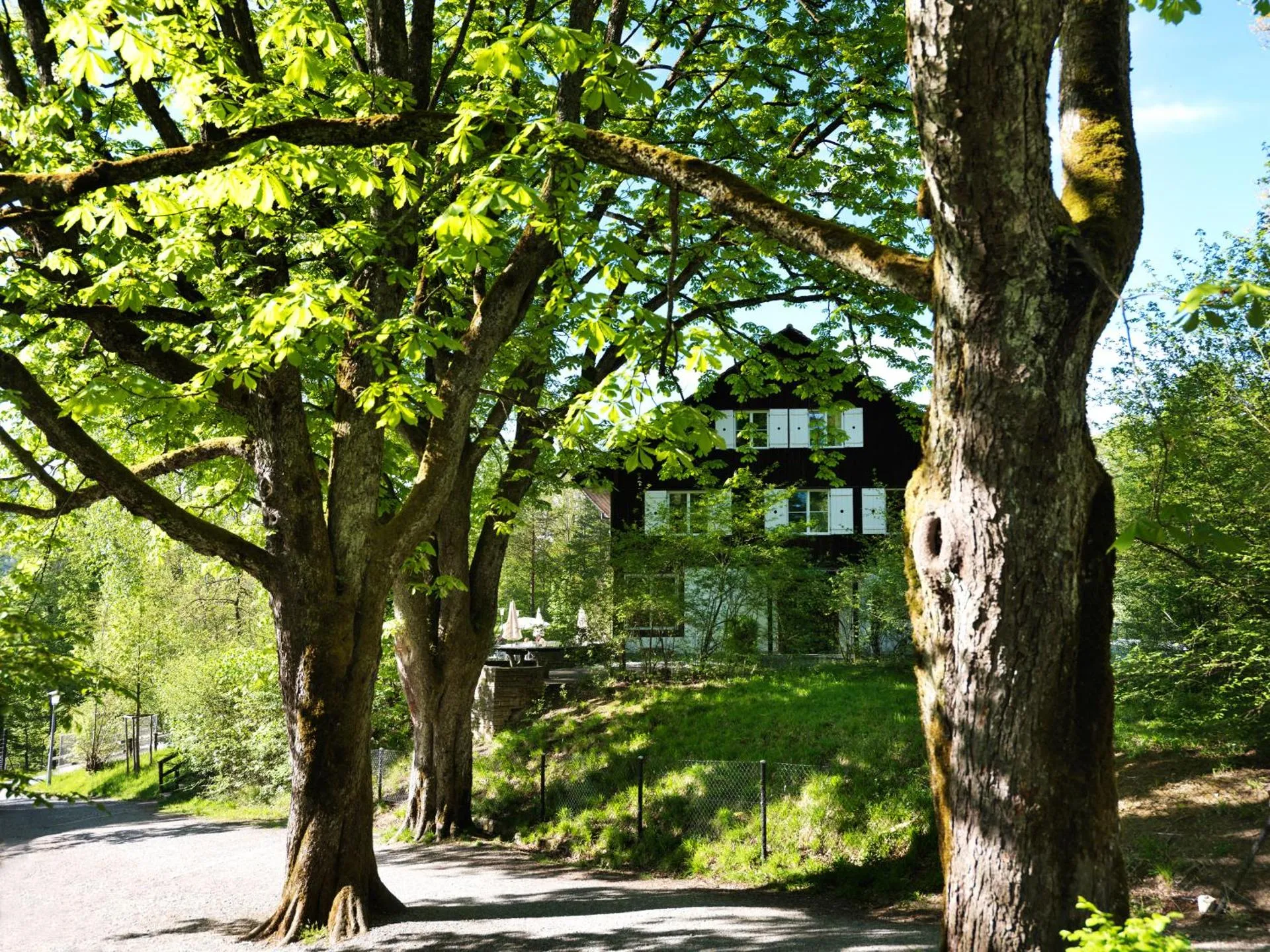 Dog Friendly Hotel $Langnau am Albis - $Hotel Langenberg