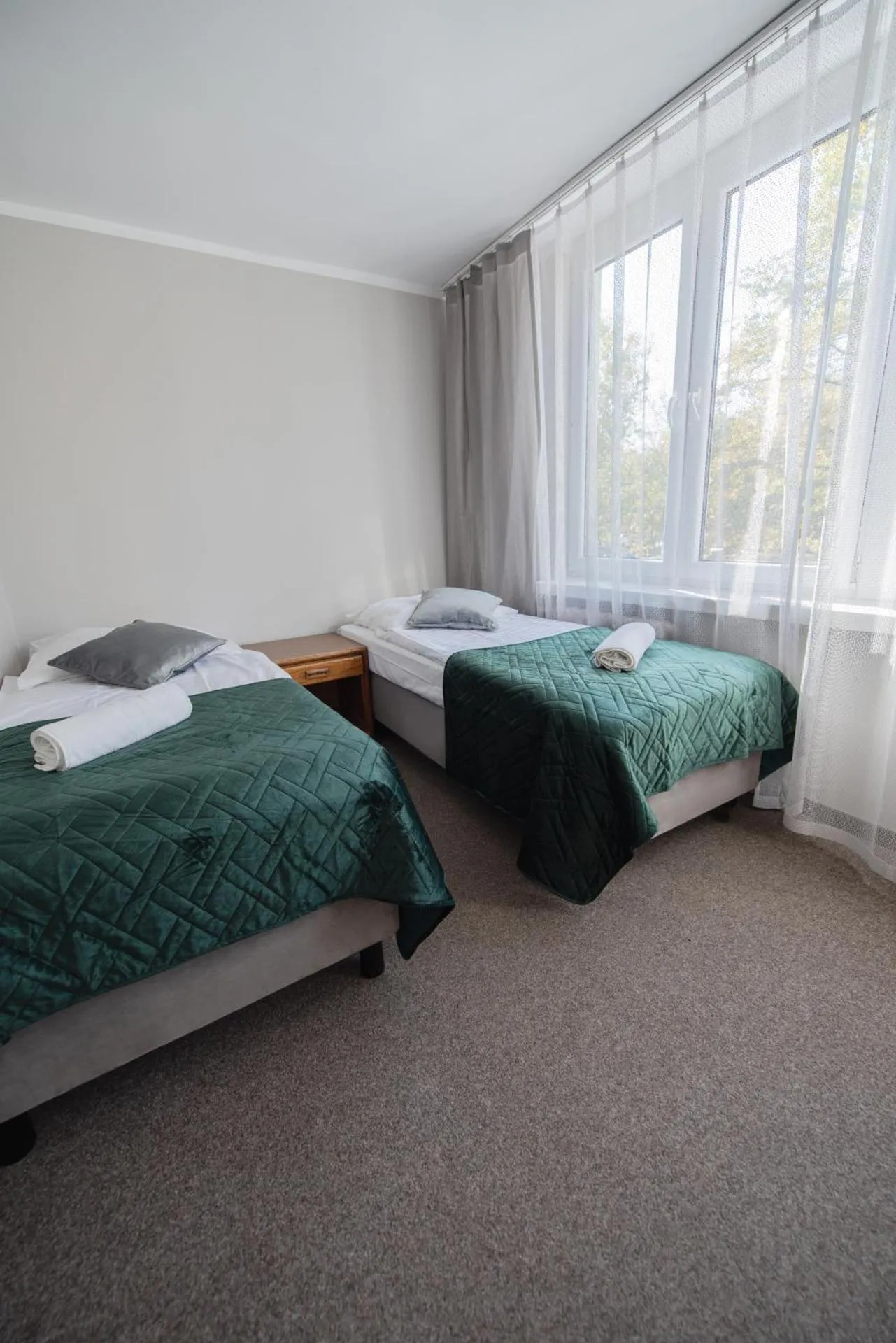 Dog Friendly Hotel $Kraków - $Hotel Felix