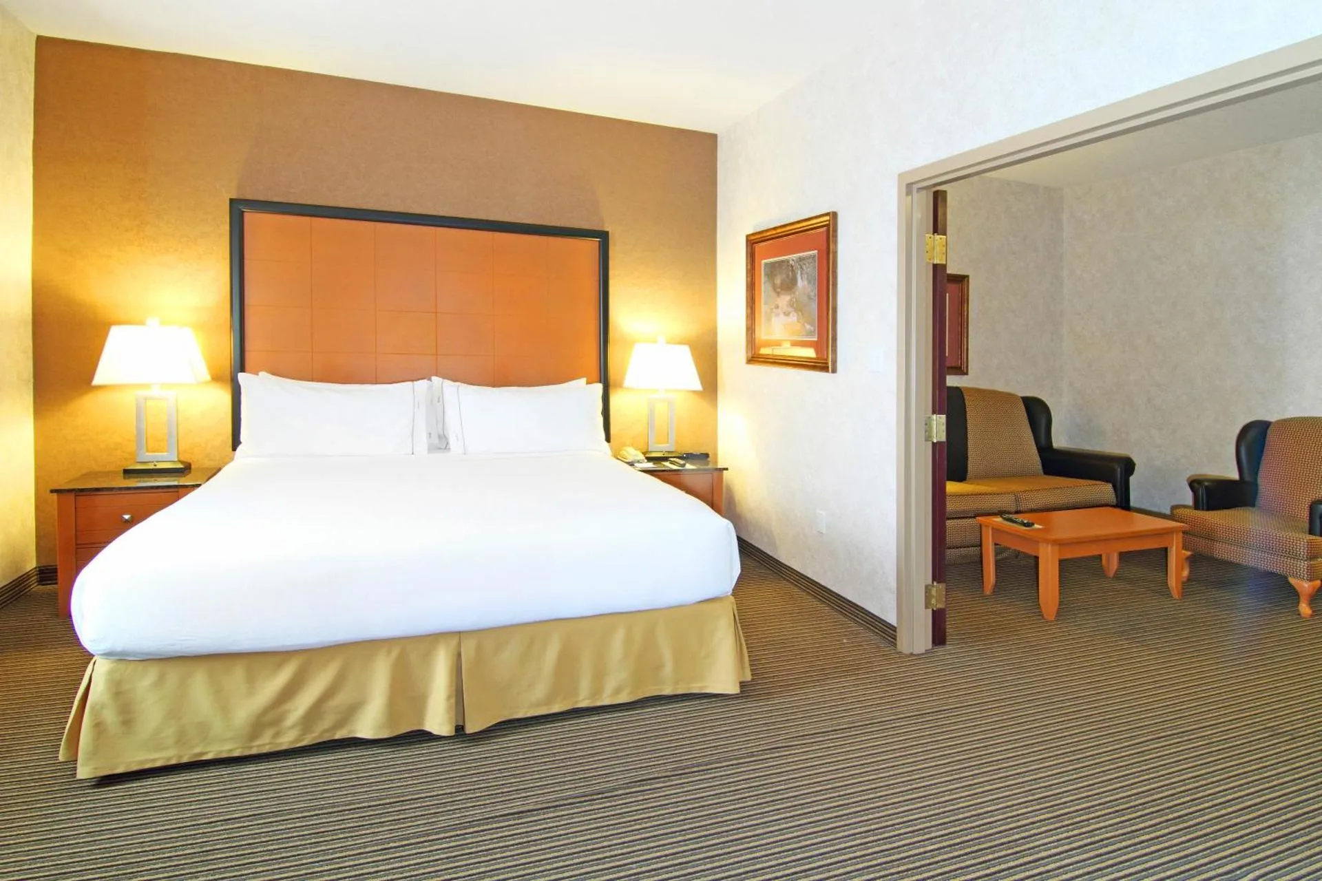 Dog Friendly Hotel $Calgary - $Holiday Inn Express Calgary South, an IHG Hotel