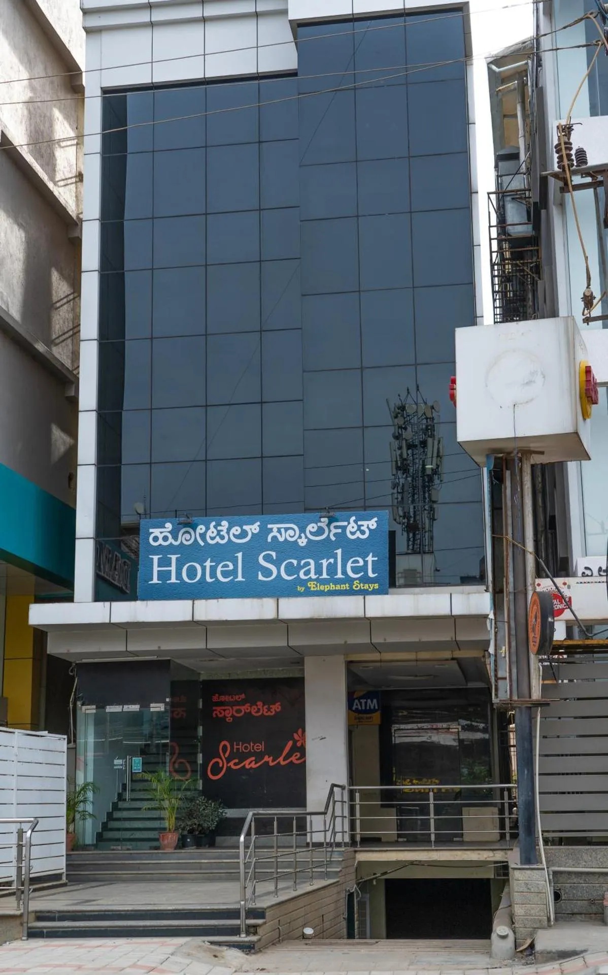 Hotel scarlet by Elephant stay