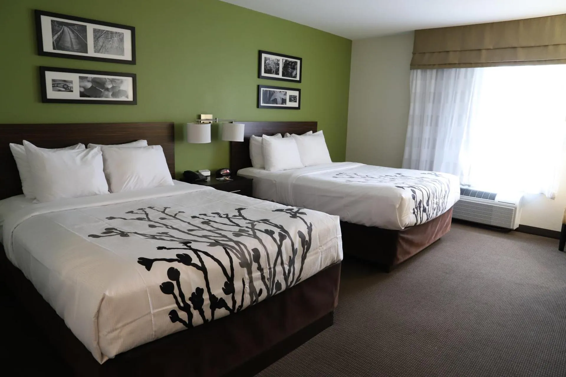 Dog Friendly Hotel $Ellenboro - $Sleep Inn Ellenboro Hwy 50