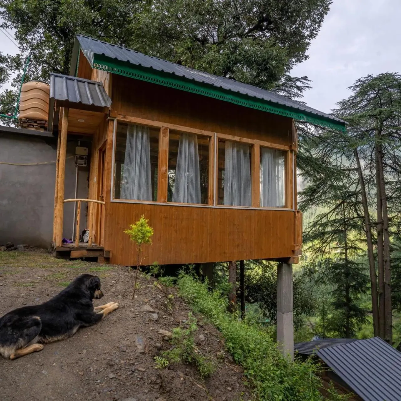 Cliff Haven Treehouse & Cottages Jibhi