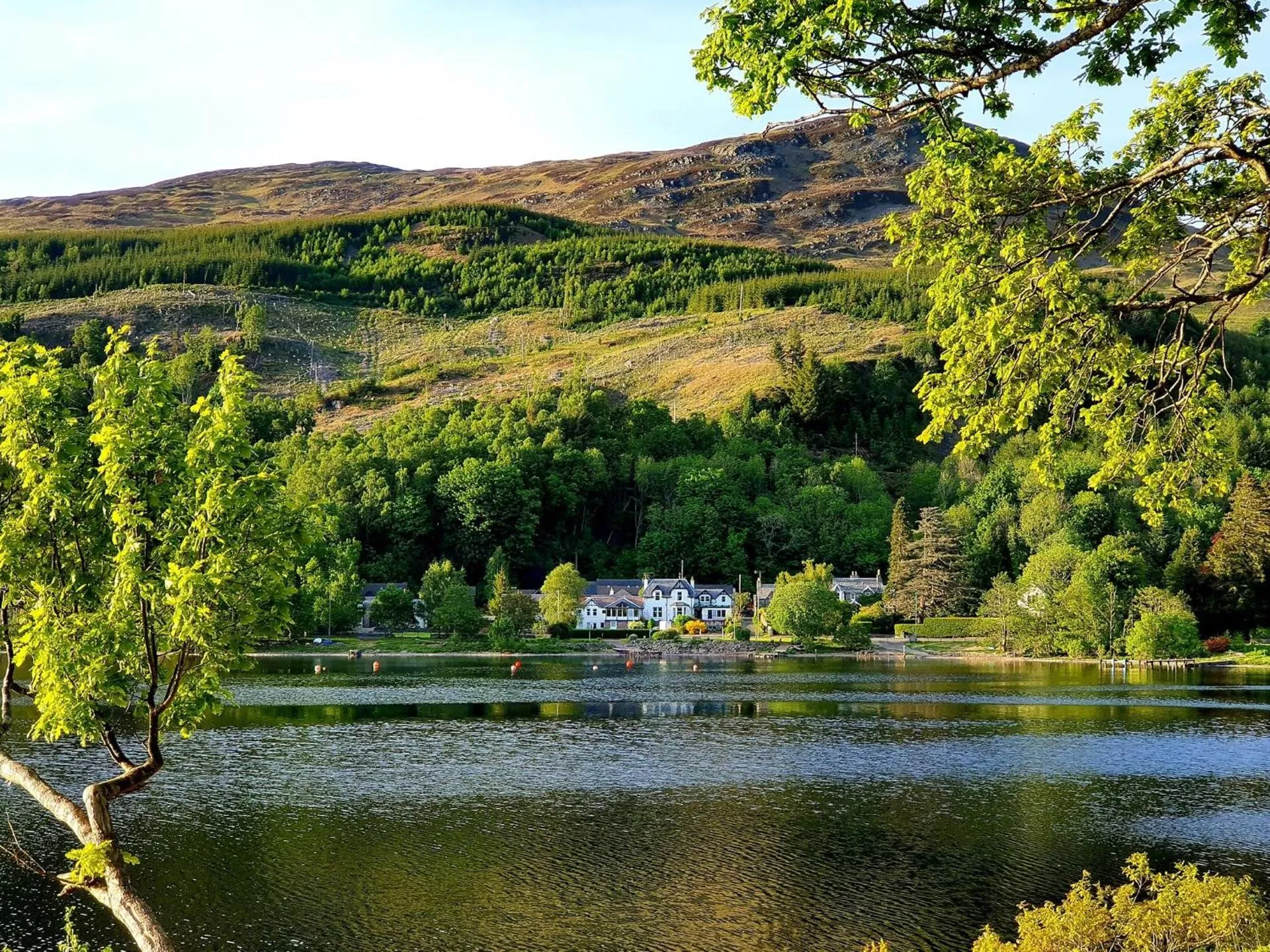 Dog Friendly Hotel $Saint Fillans - $Achray House