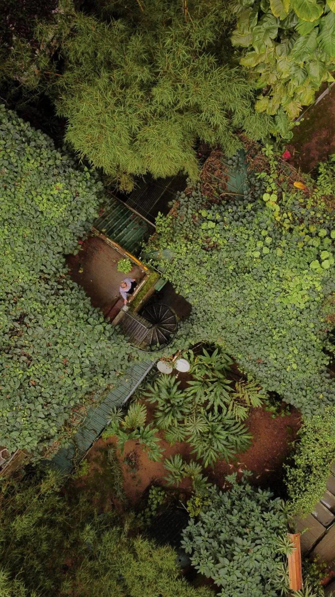 Greenspaces Munnar