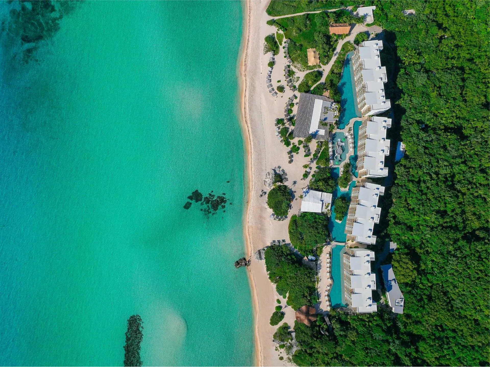 Dog Friendly Resort $Playa del Carmen - $Palmaïa - The House of AïA Wellness Enclave All Inclusive