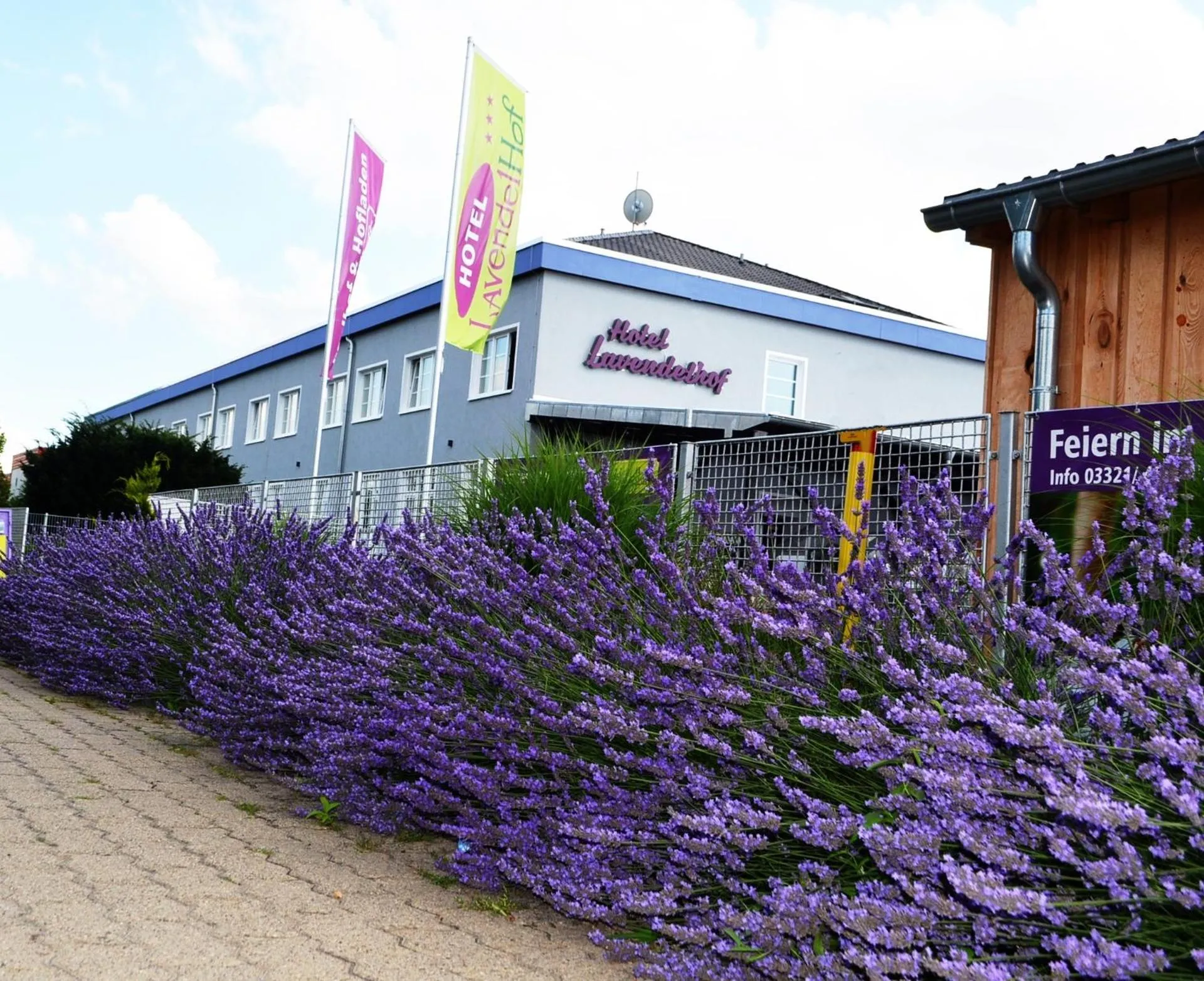 Dog Friendly Hotel $Nauen - $Garni Hotel Lavendelhof