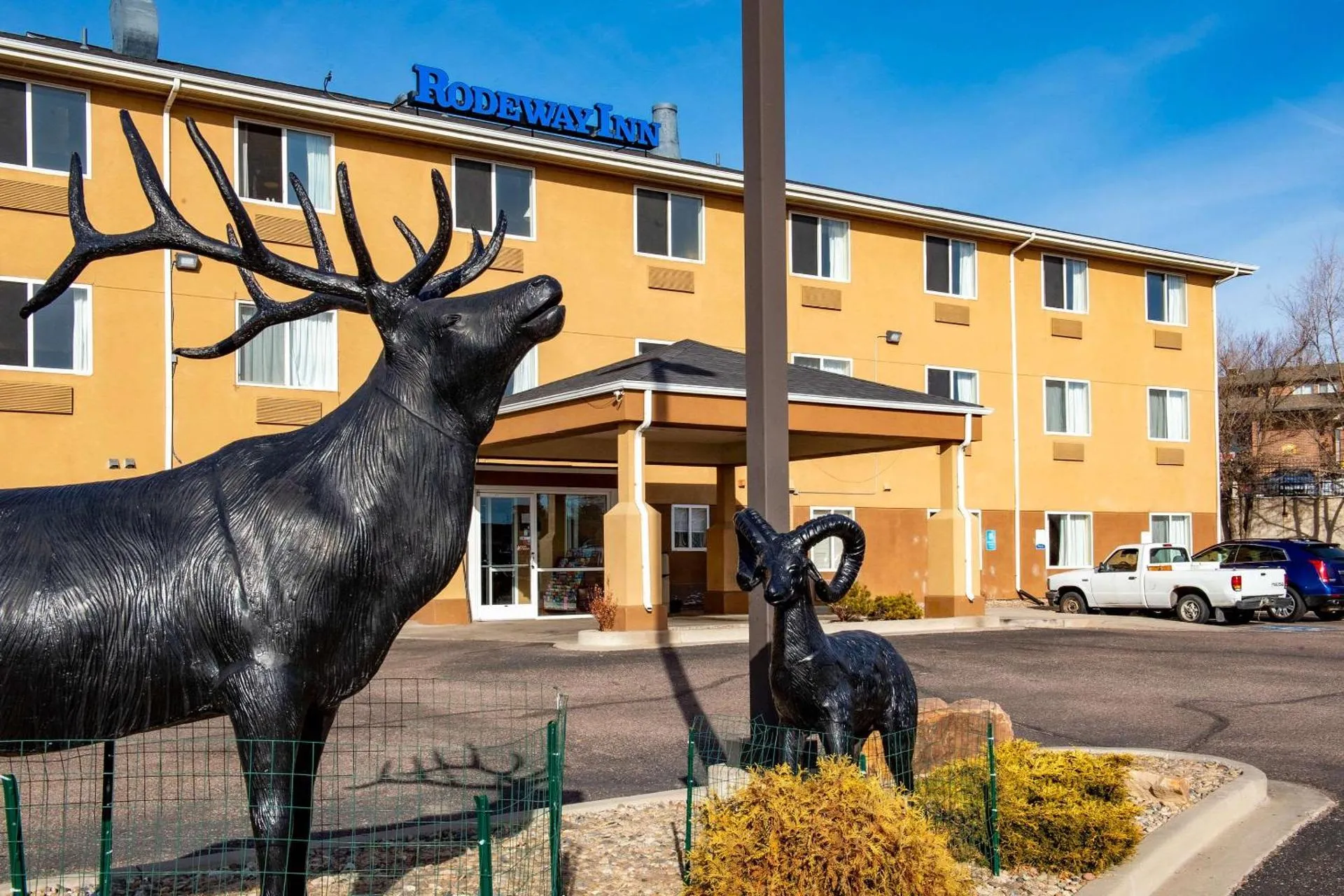 Rodeway Inn Central Colorado Springs