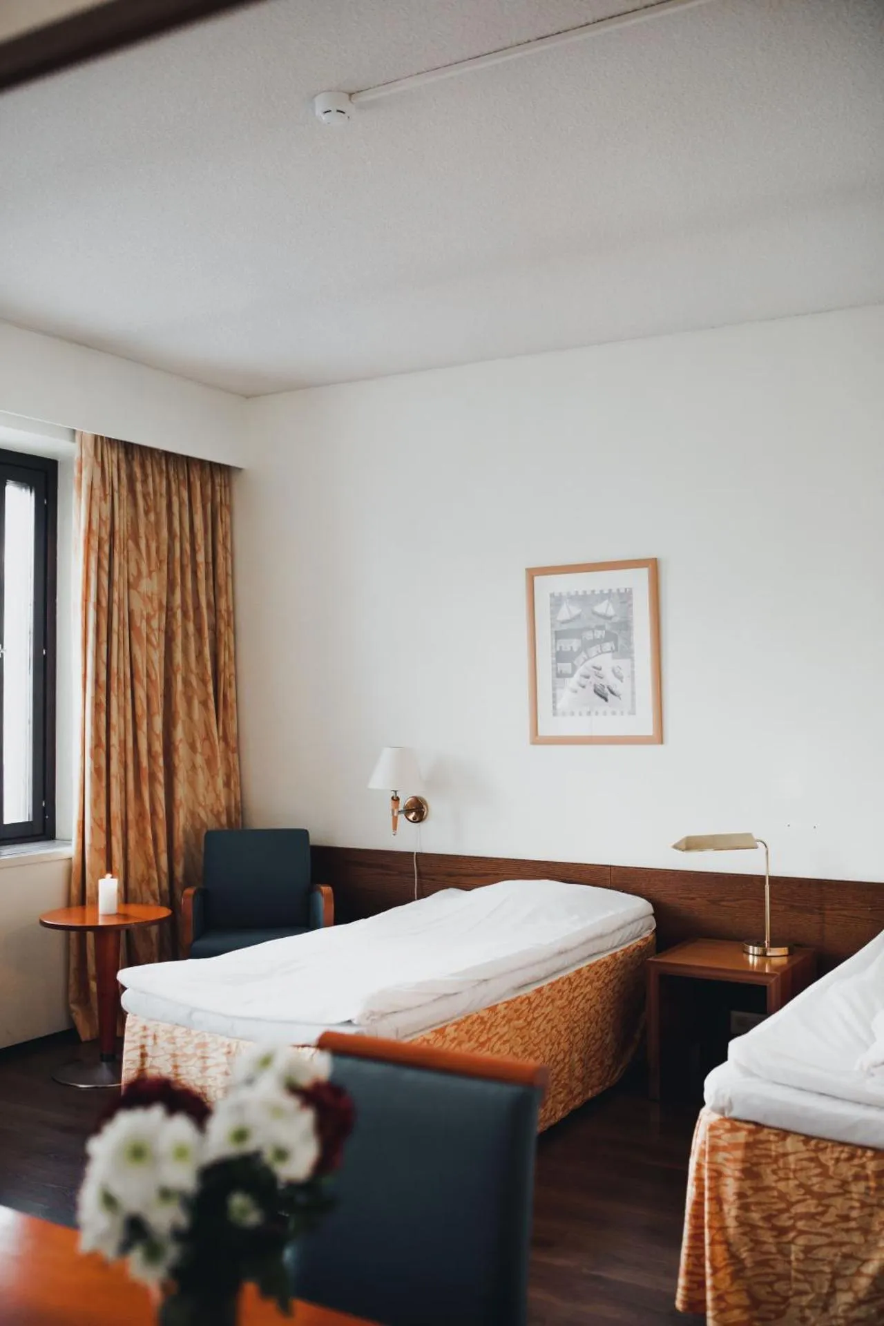 Dog Friendly Hotel $Sastamala - $Vammalan Seurahuone