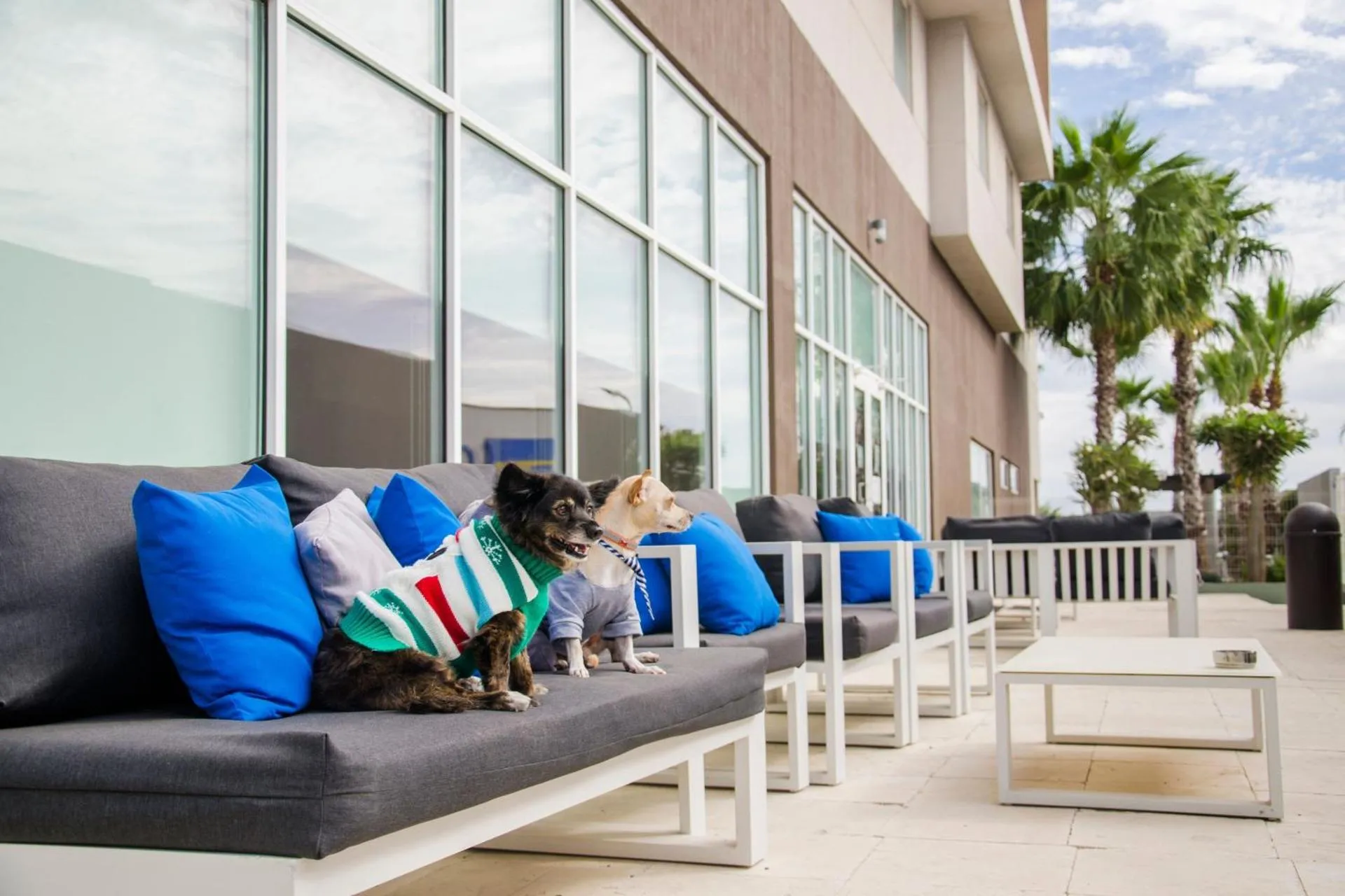 Courtyard by Marriott Hermosillo