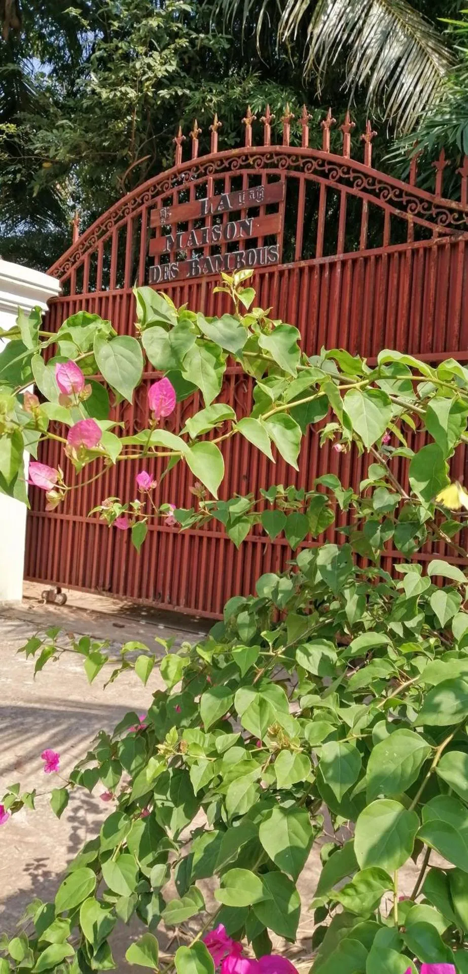 La Maison des Bambous Siem Reap