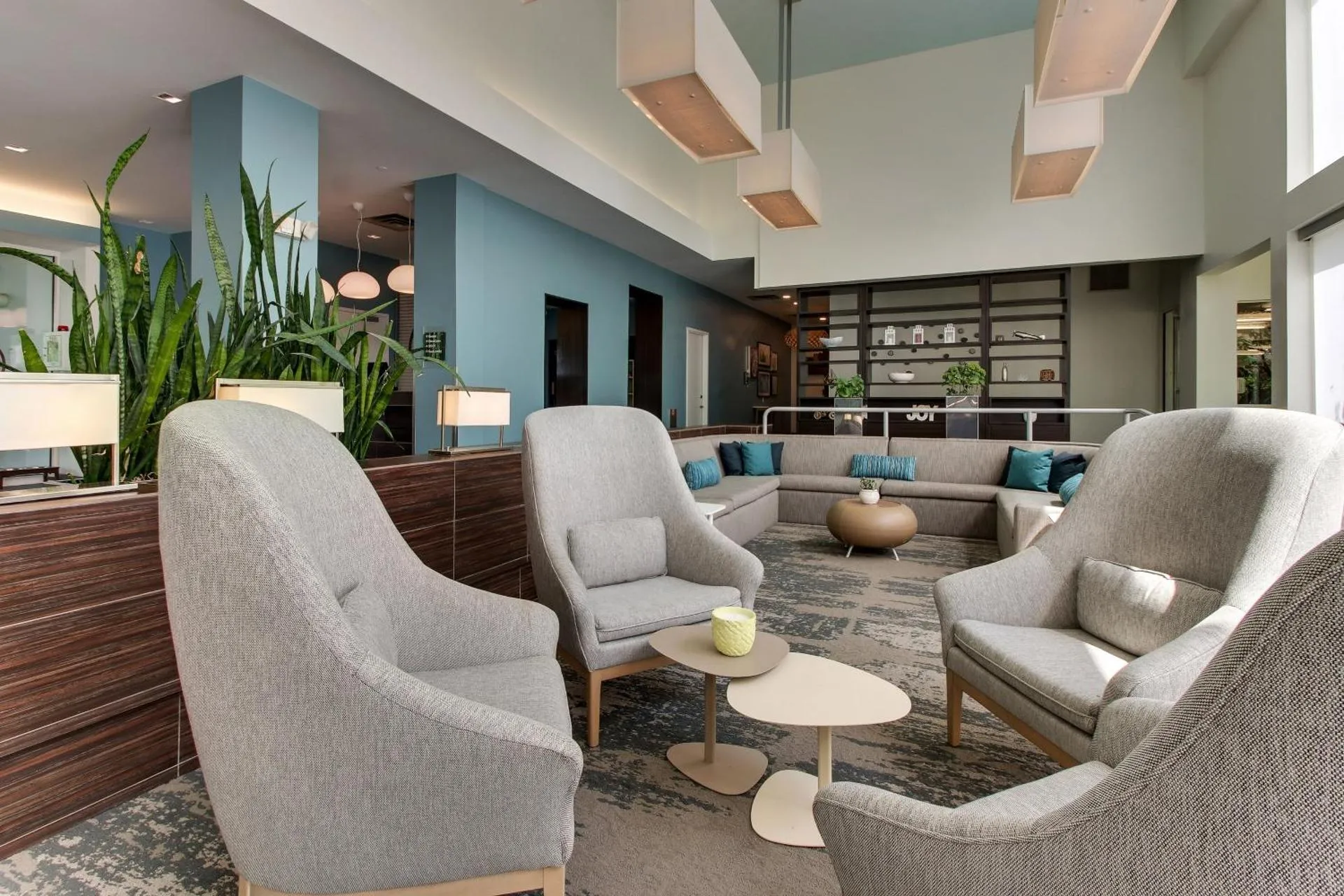 Dog Friendly Hotel $Ewing - $Element Ewing Princeton