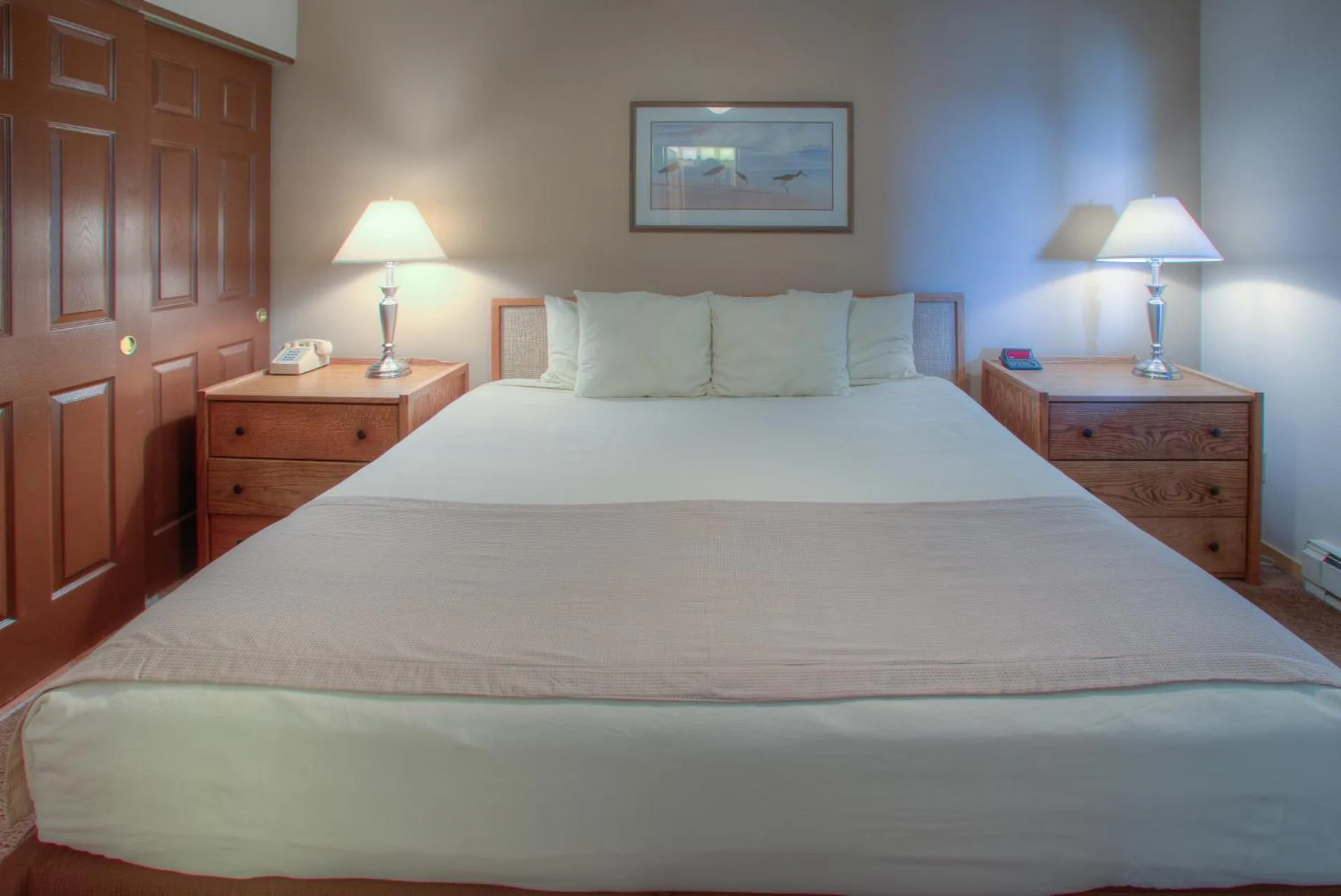 Dog Friendly Aparthotel $Ocean Shores - $Grey Gull