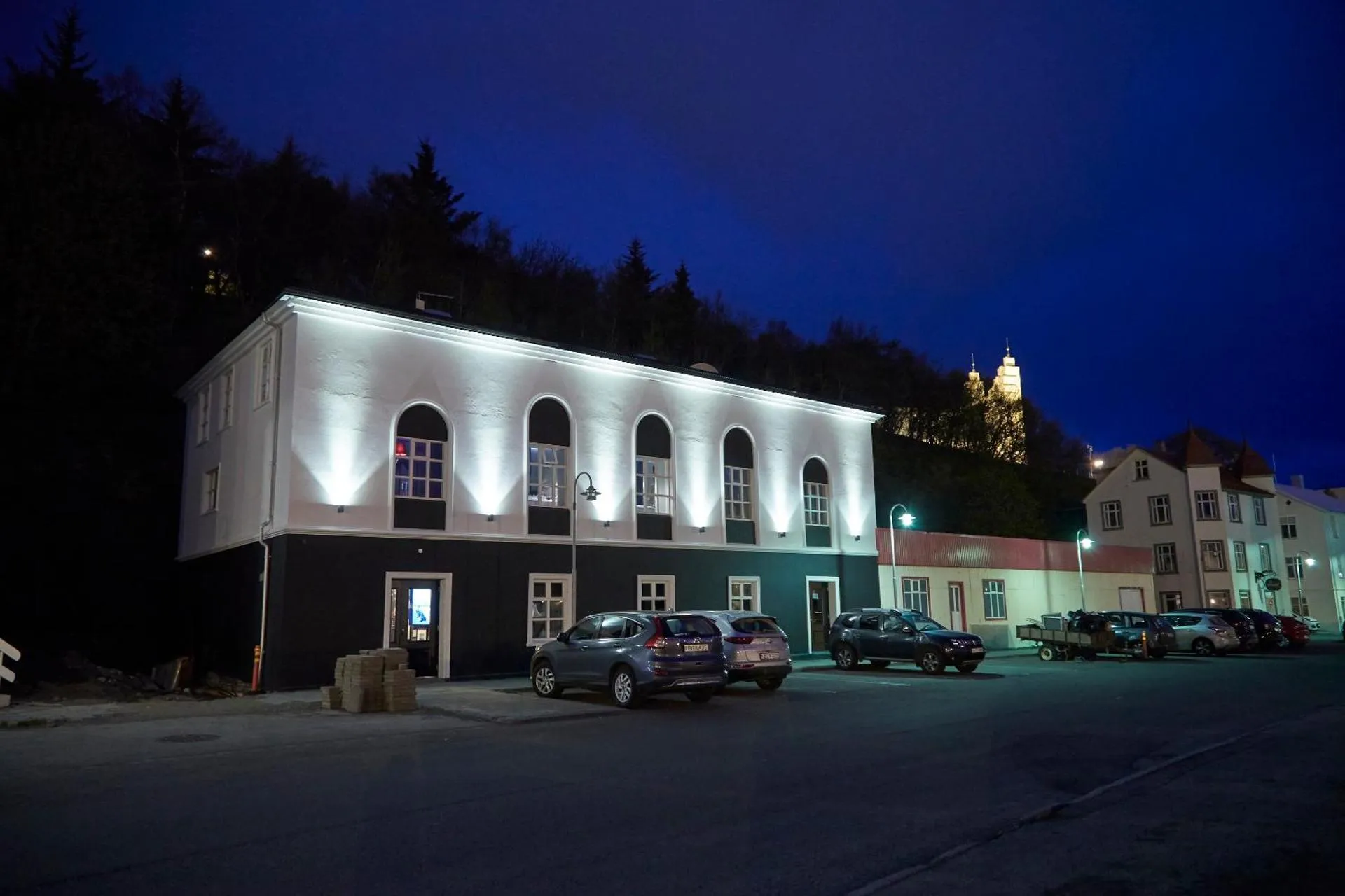 Dog Friendly Hotel $Akureyri - $Hotel Akureyri Dynheimar