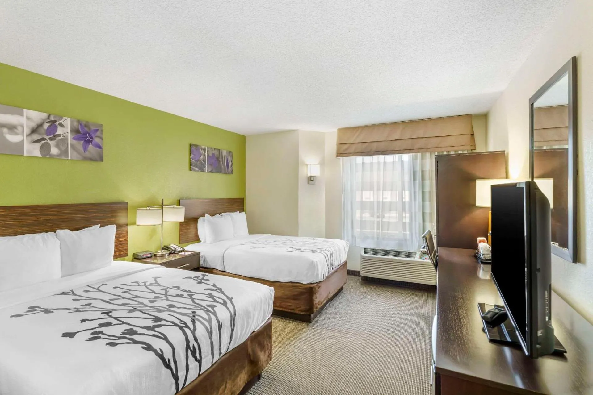 Sleep Inn - Hickory