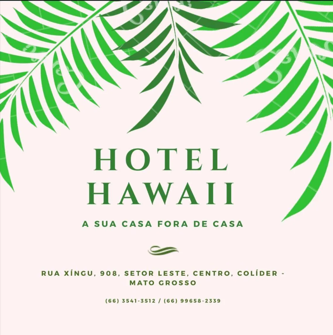 Dog Friendly Hotel $Colíder - $Hotel e Restaurante Hawaii