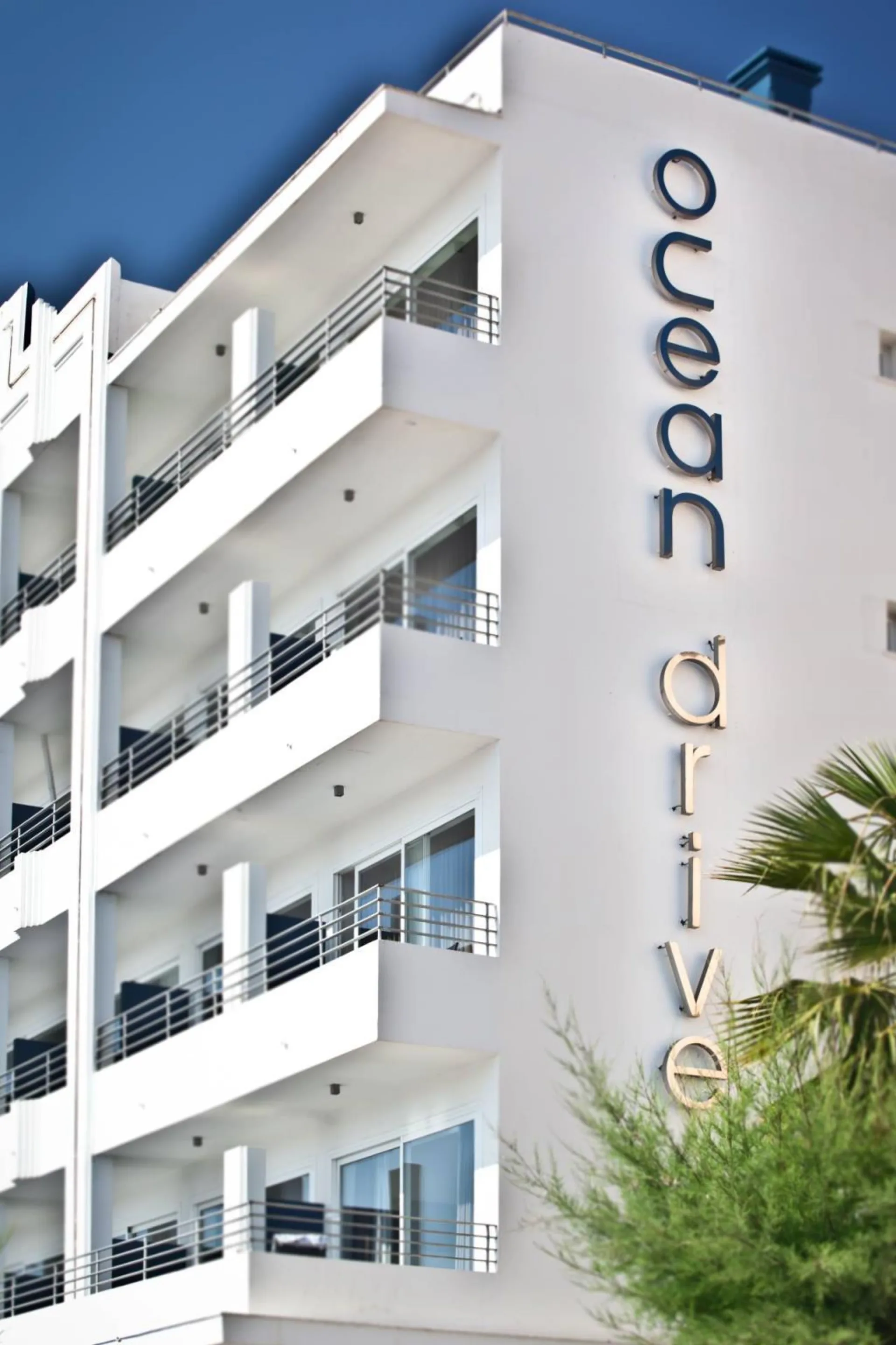 OCEAN DRIVE Ibiza interior