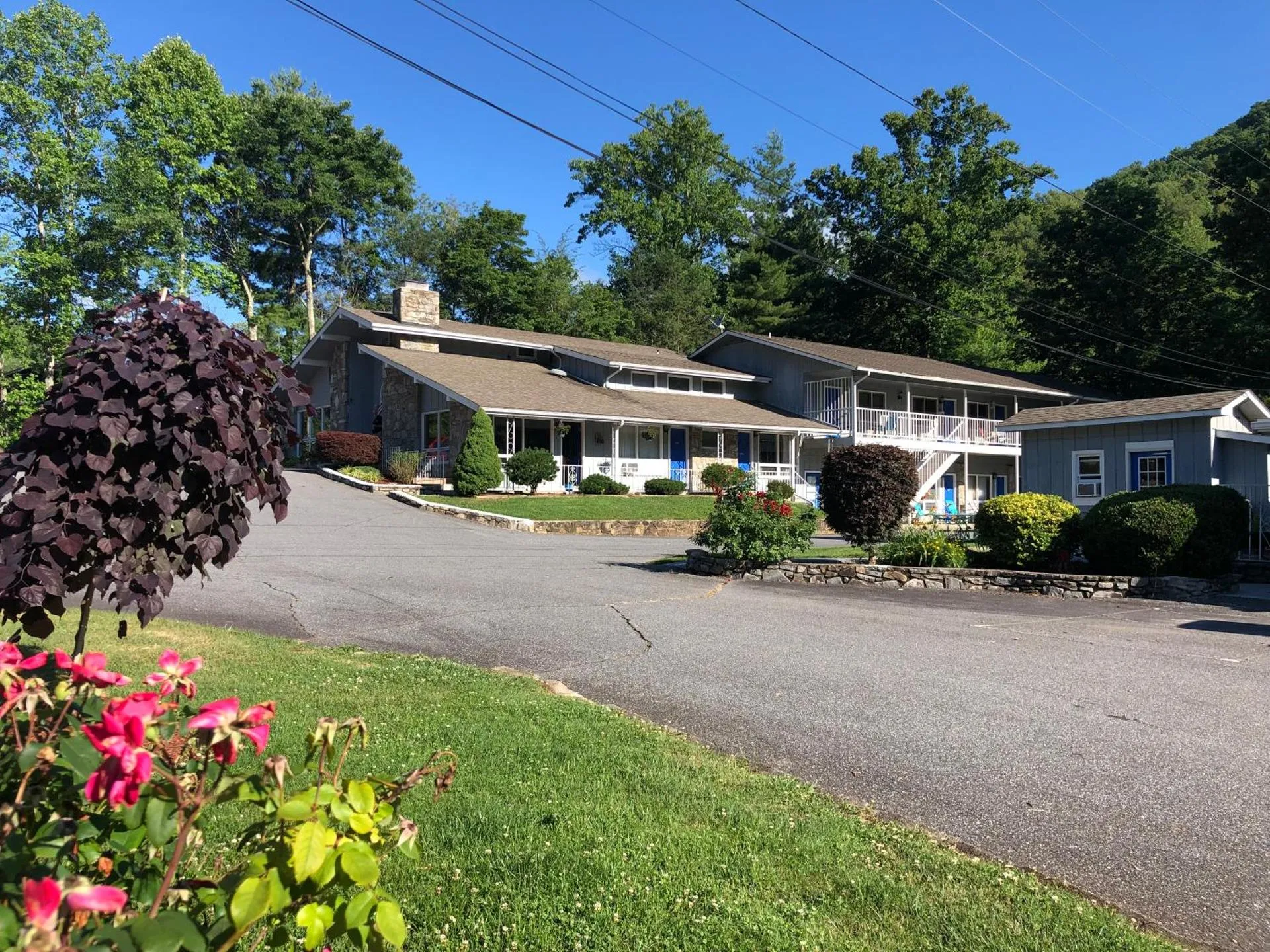 Dog Friendly Hotel $Maggie Valley - $Meadowlark Motel with Restaurant & Bar