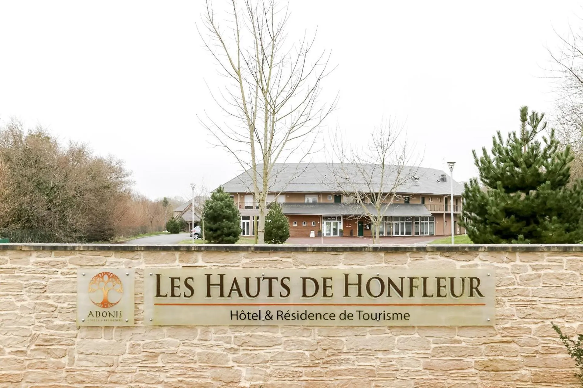 Adonis Hauts De Honfleur