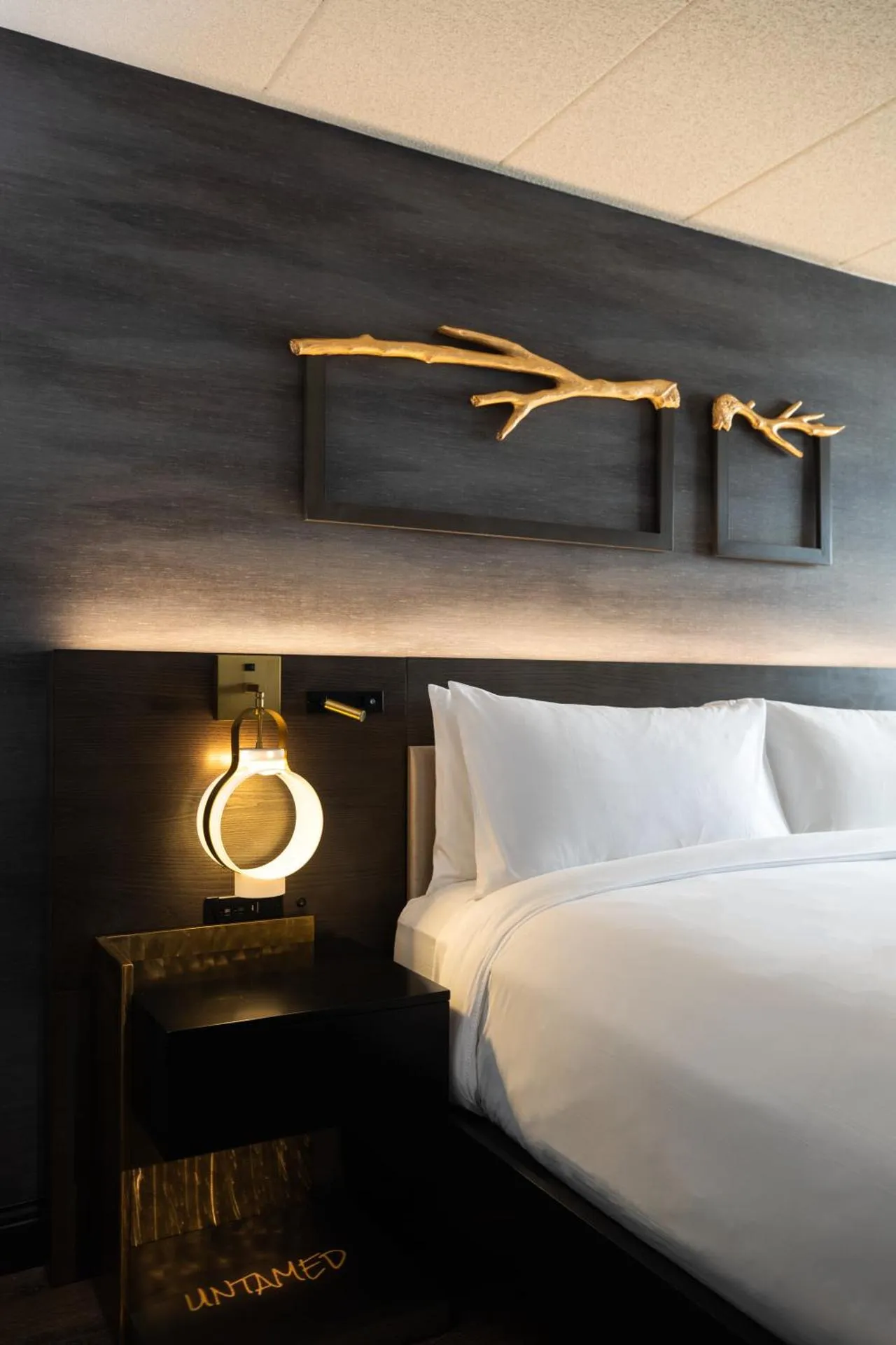 Dog Friendly Hotel $Northbrook - $Renaissance Chicago North Shore Hotel
