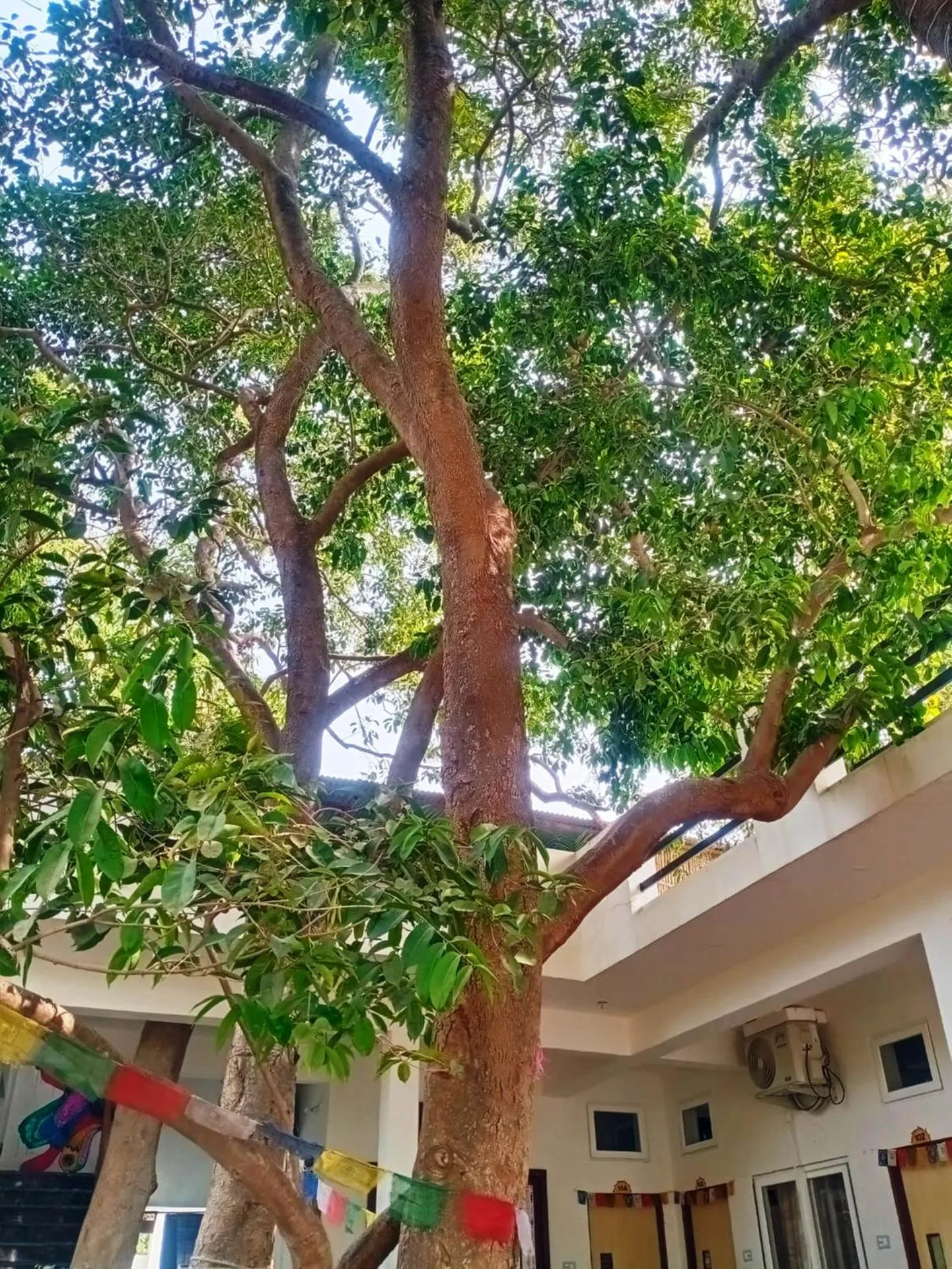 Green Hub-Pool Villa with Nature