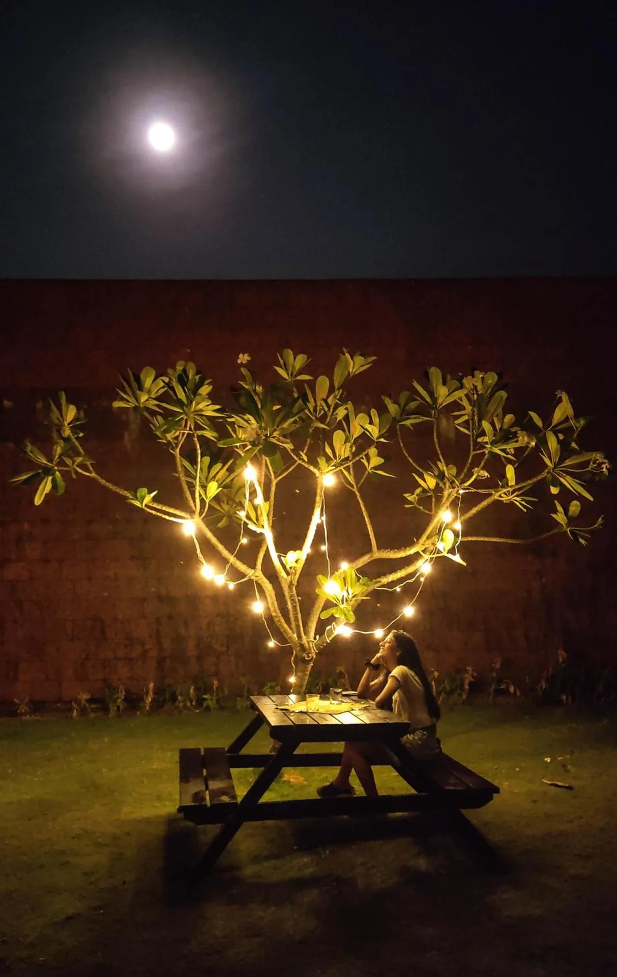 Dog Friendly Hotel $Gokarna - $Arthigamya Spa & Resort