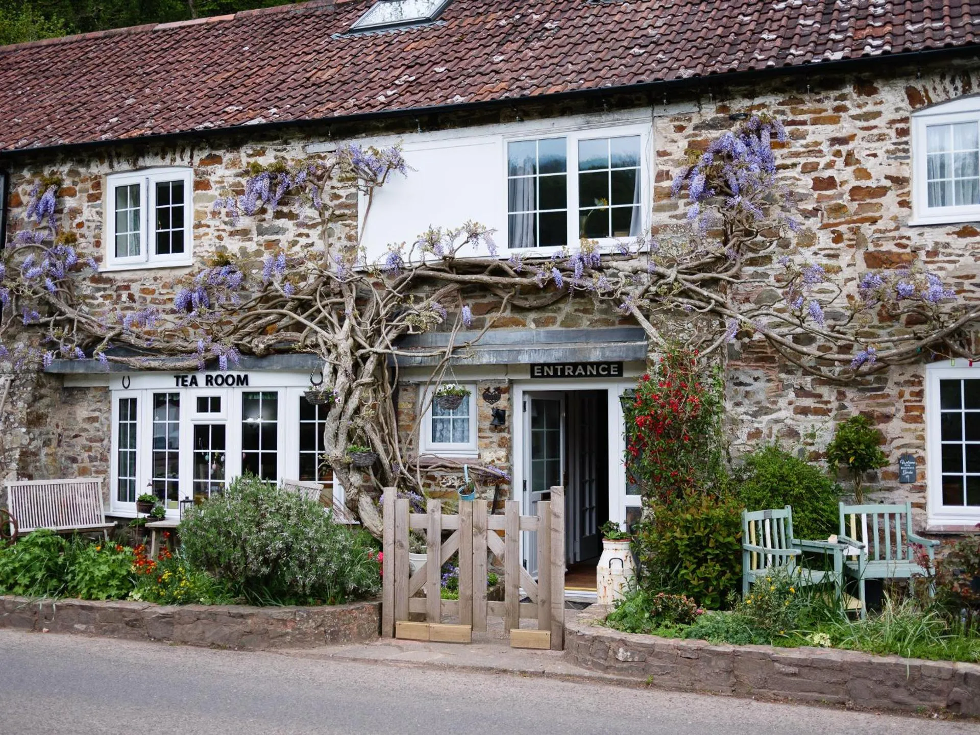 The Bark House