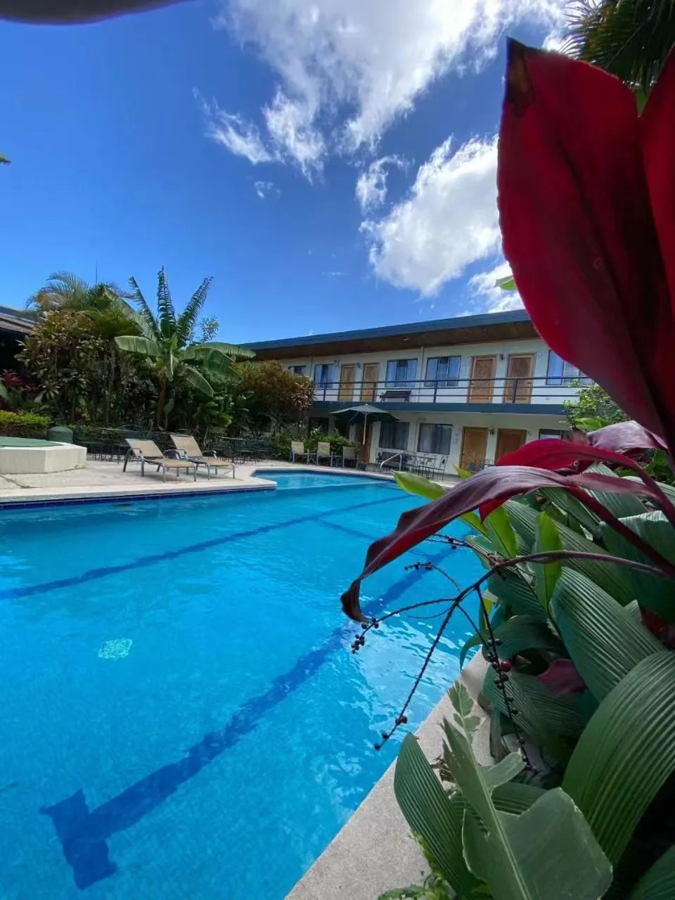 Hotel Ecological Inn