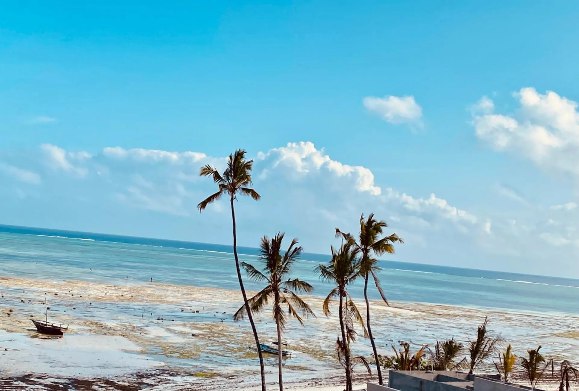 Zaina Larssons beach hotel