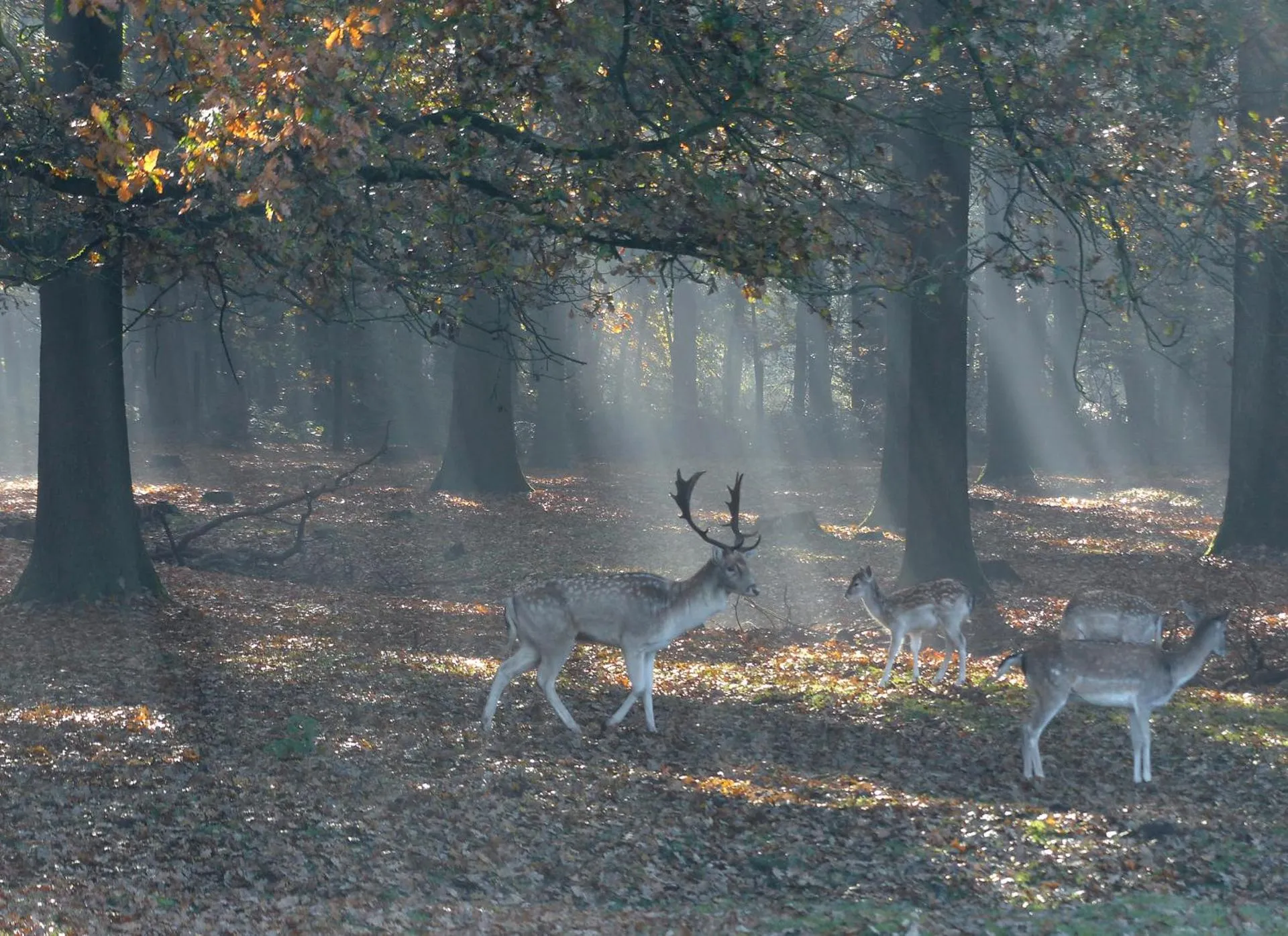 De Spaarbankhoeve